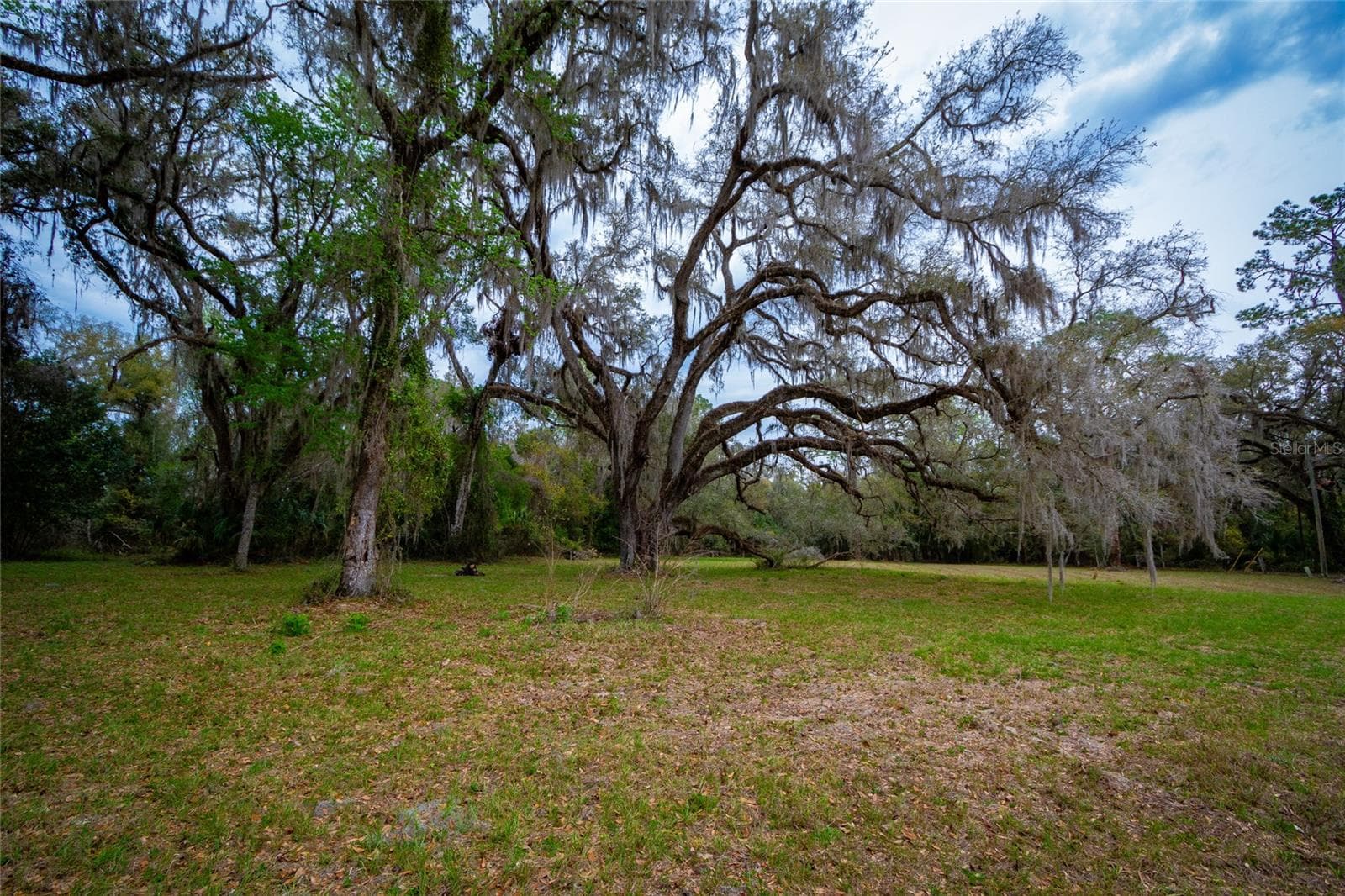 Land at 7822 CR 647, BUSHNELL, photo 8 of 29