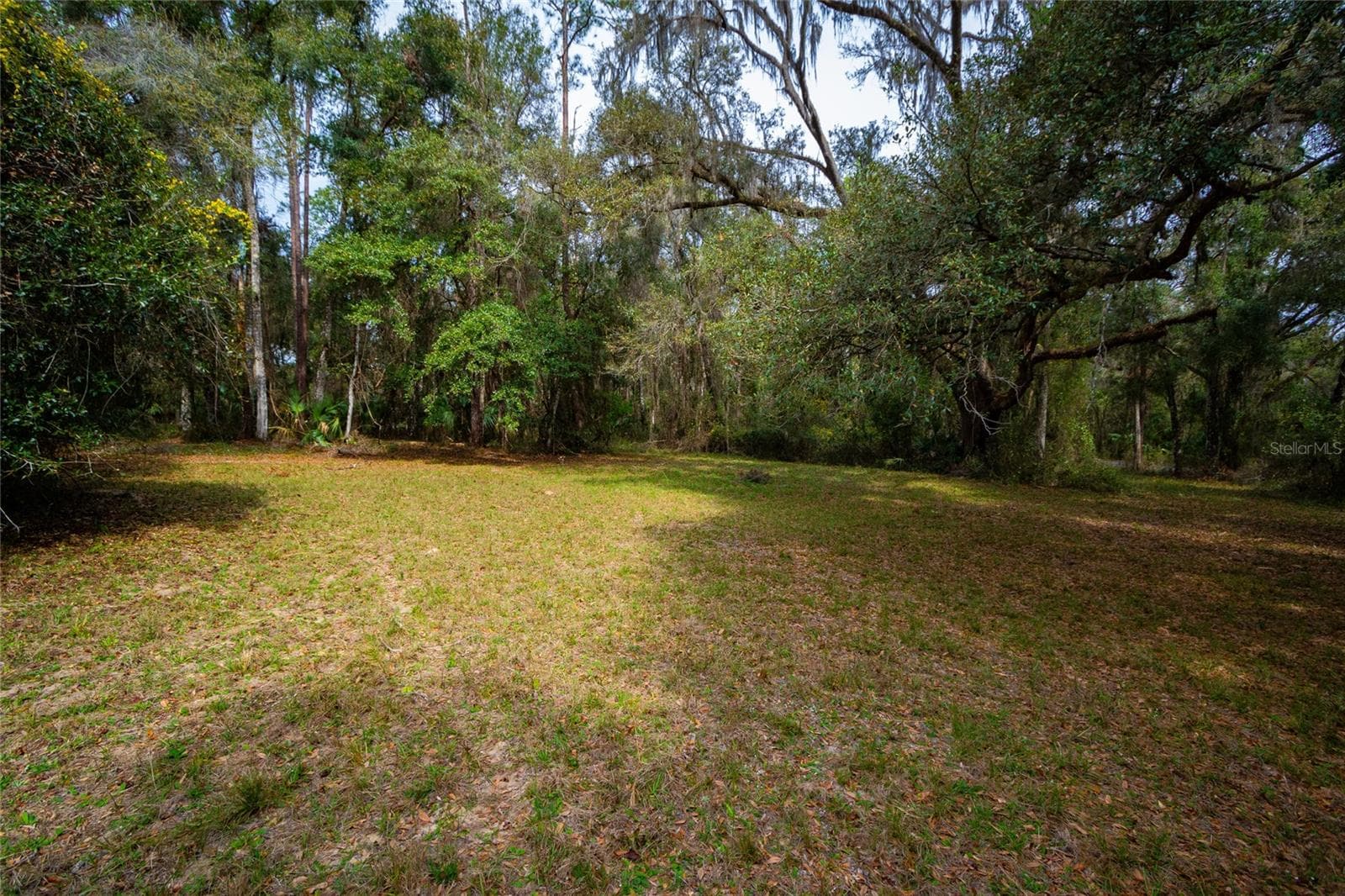 Land at 7822 CR 647, BUSHNELL, photo 15 of 29