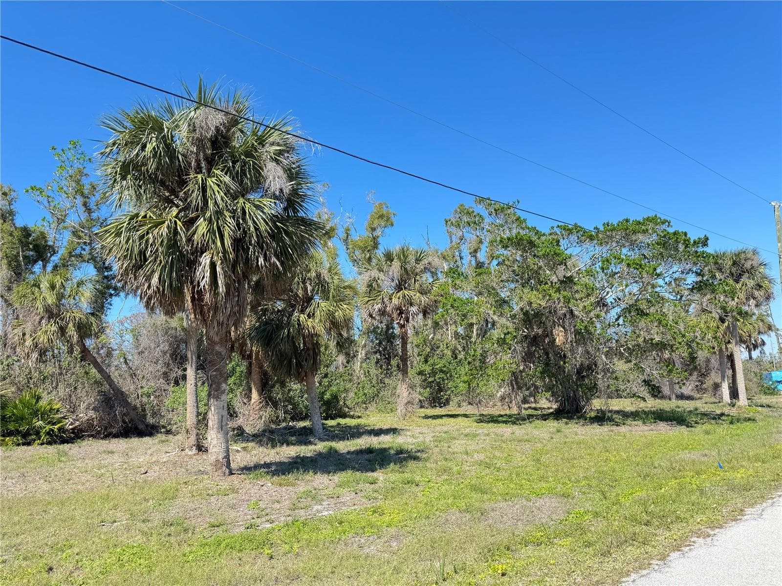 Land at 50 COBIA DR, PLACIDA, photo 5 of 8