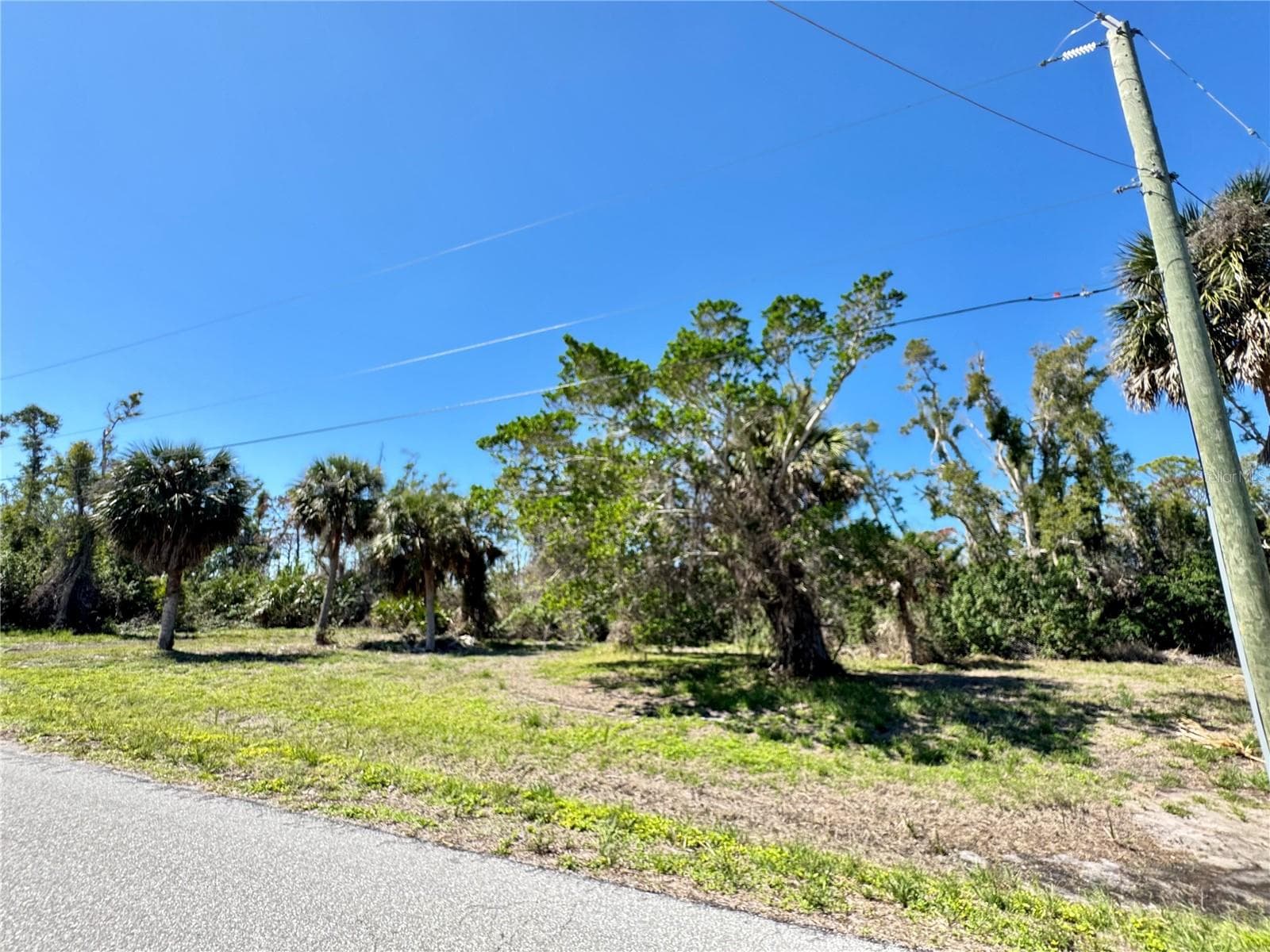 Land at 50 COBIA DR, PLACIDA, photo 6 of 8