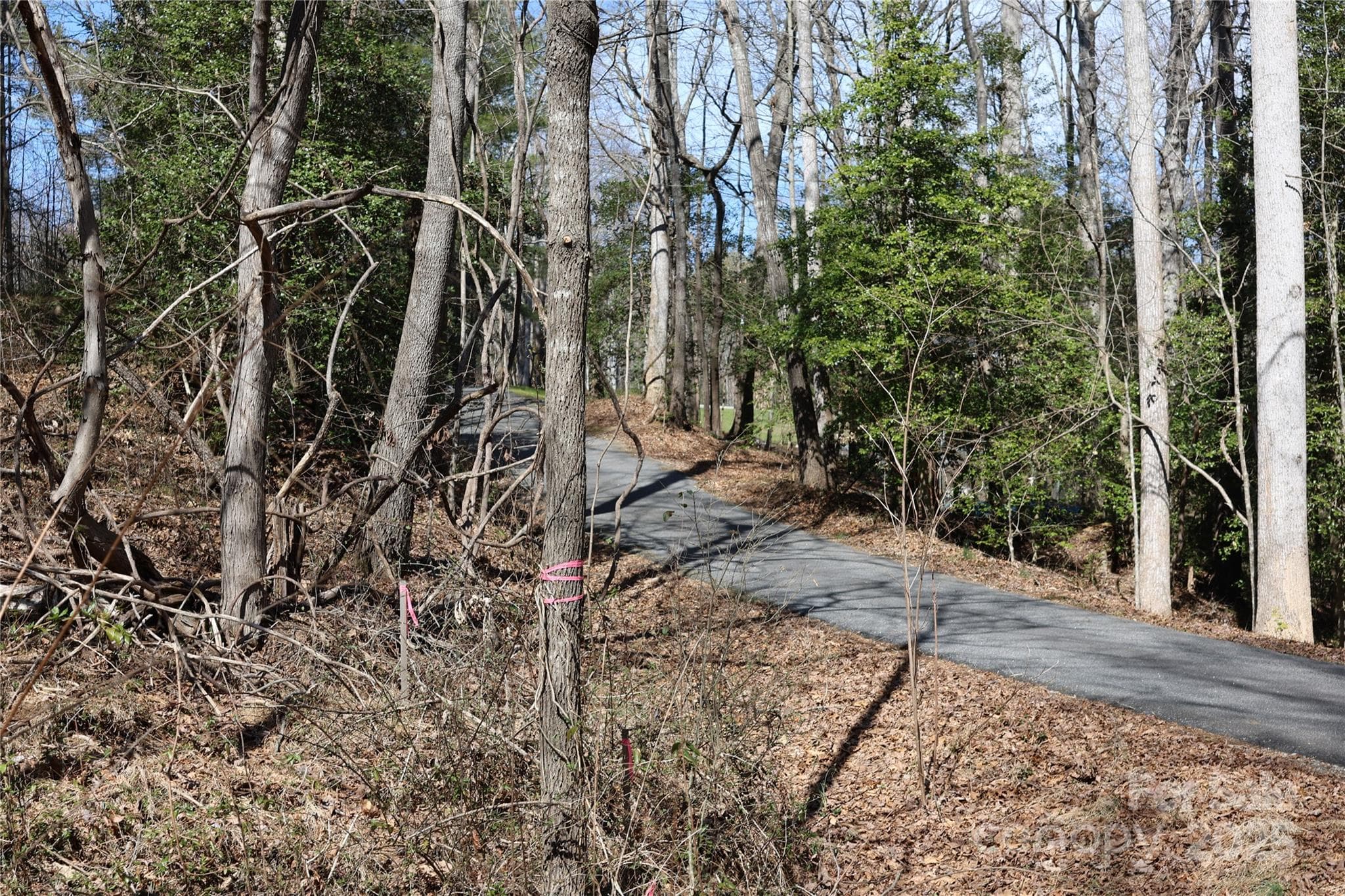 Lot at Taylorsville, photo 9 of 11