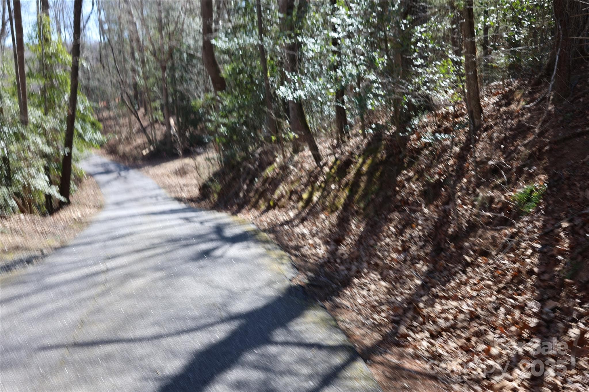 Lot at Taylorsville, photo 10 of 11