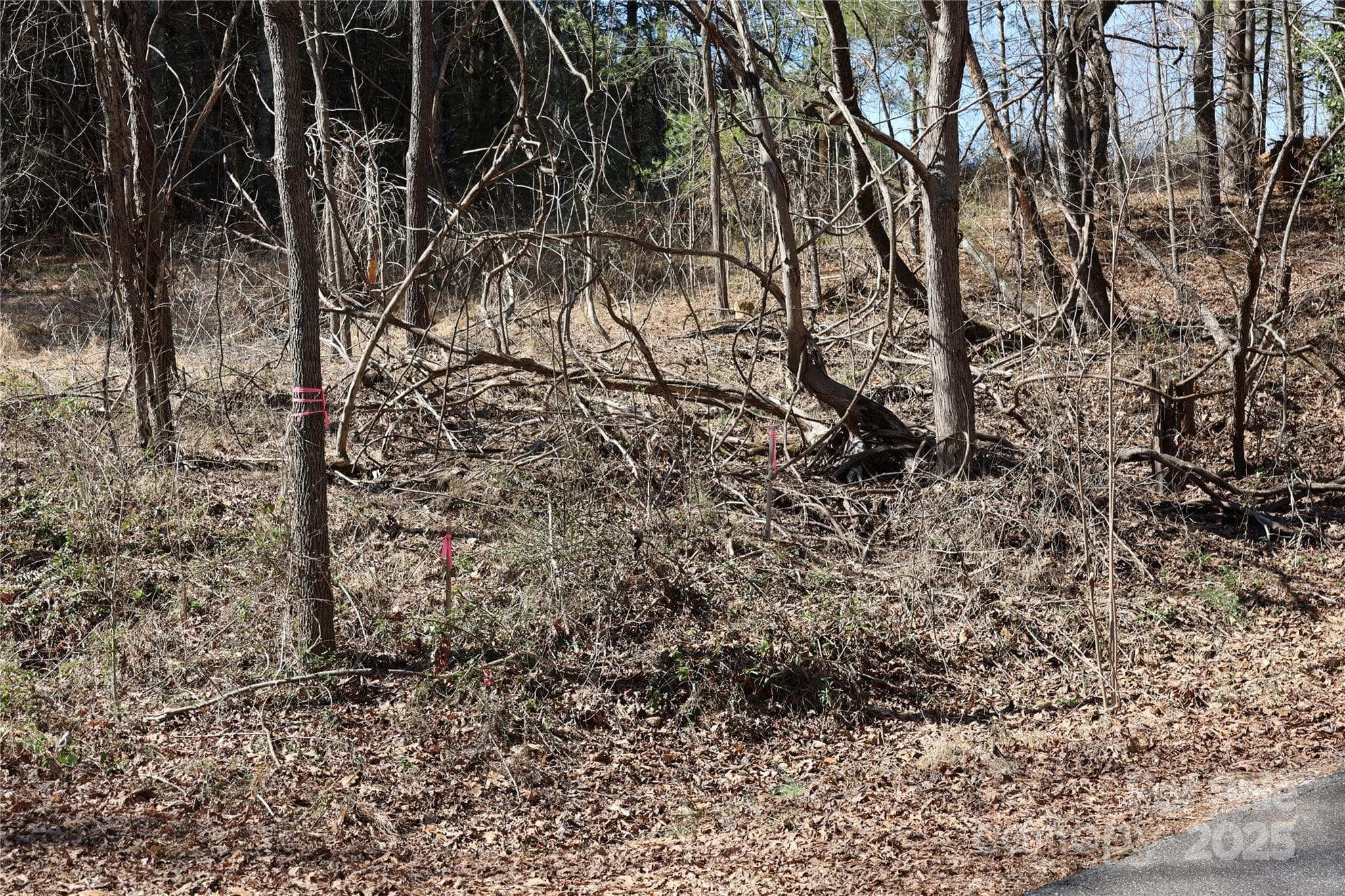 Lot at Taylorsville, photo 11 of 11