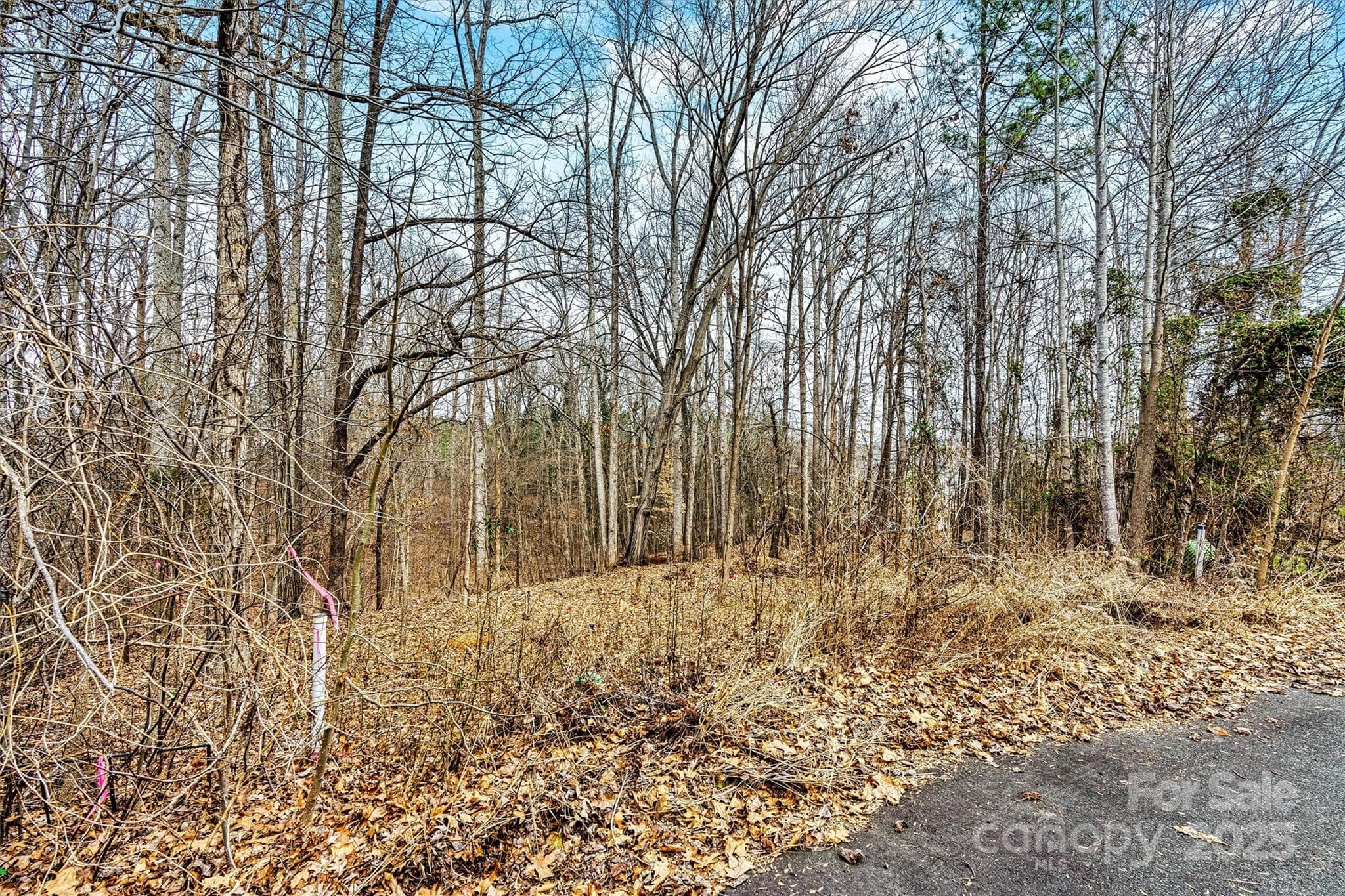 Lot at Mooresville, photo 3 of 8