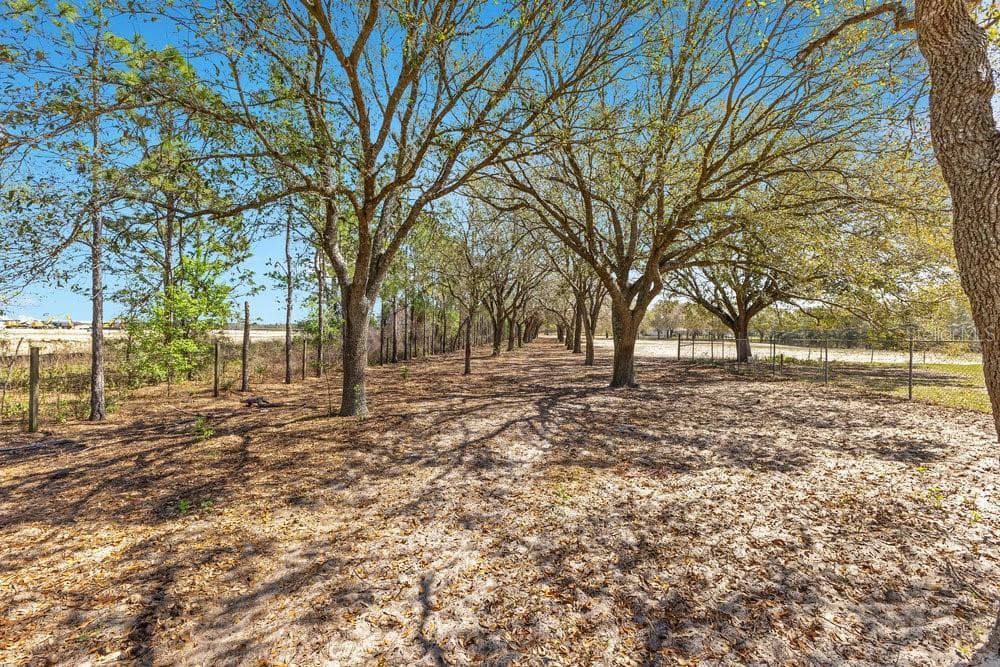 Land at 4649 MEADOWLAND DR, MOUNT DORA, photo 4 of 18