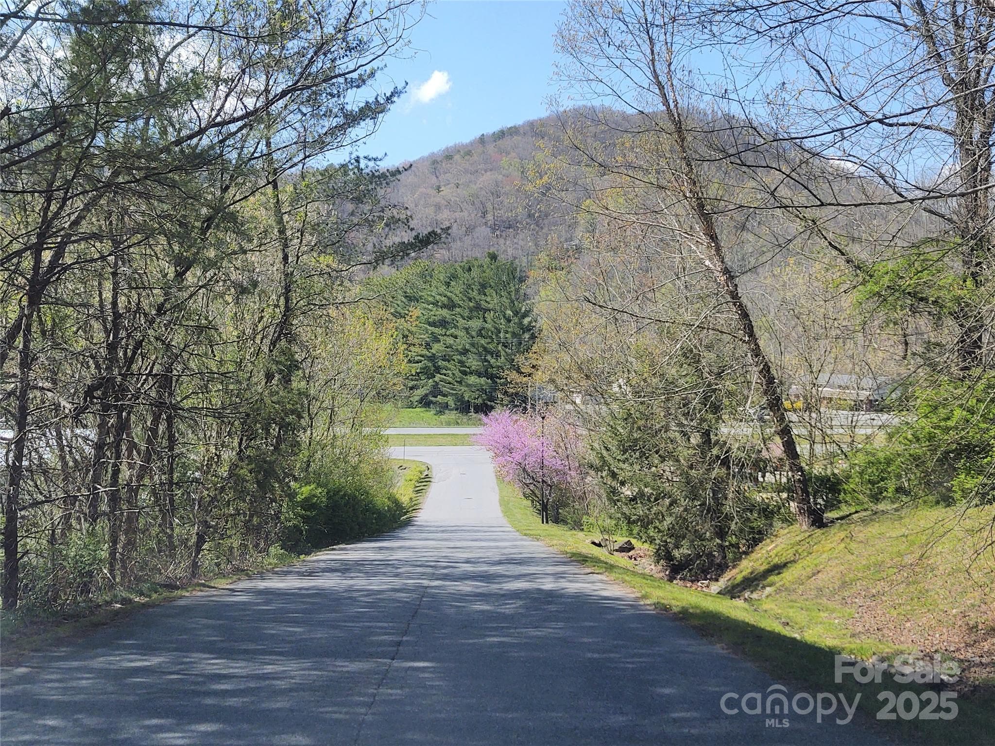 18 ft wide paved subd streets - Waynesville