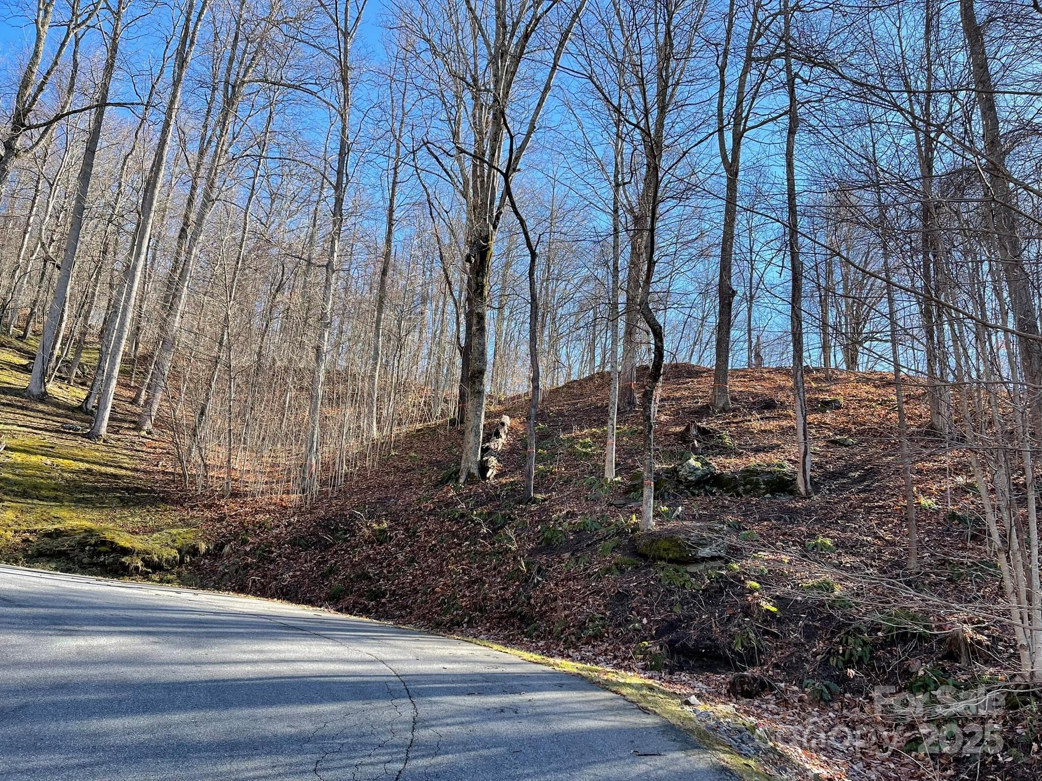 Lot at Waynesville, photo 2 of 10