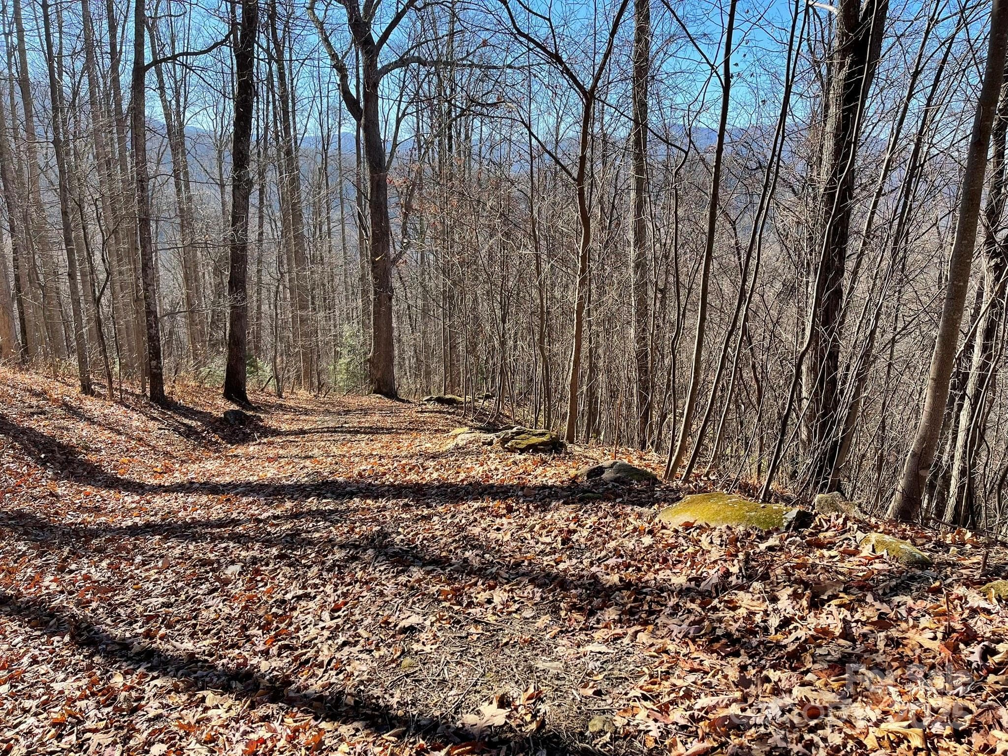 Lot at Waynesville, photo 3 of 10