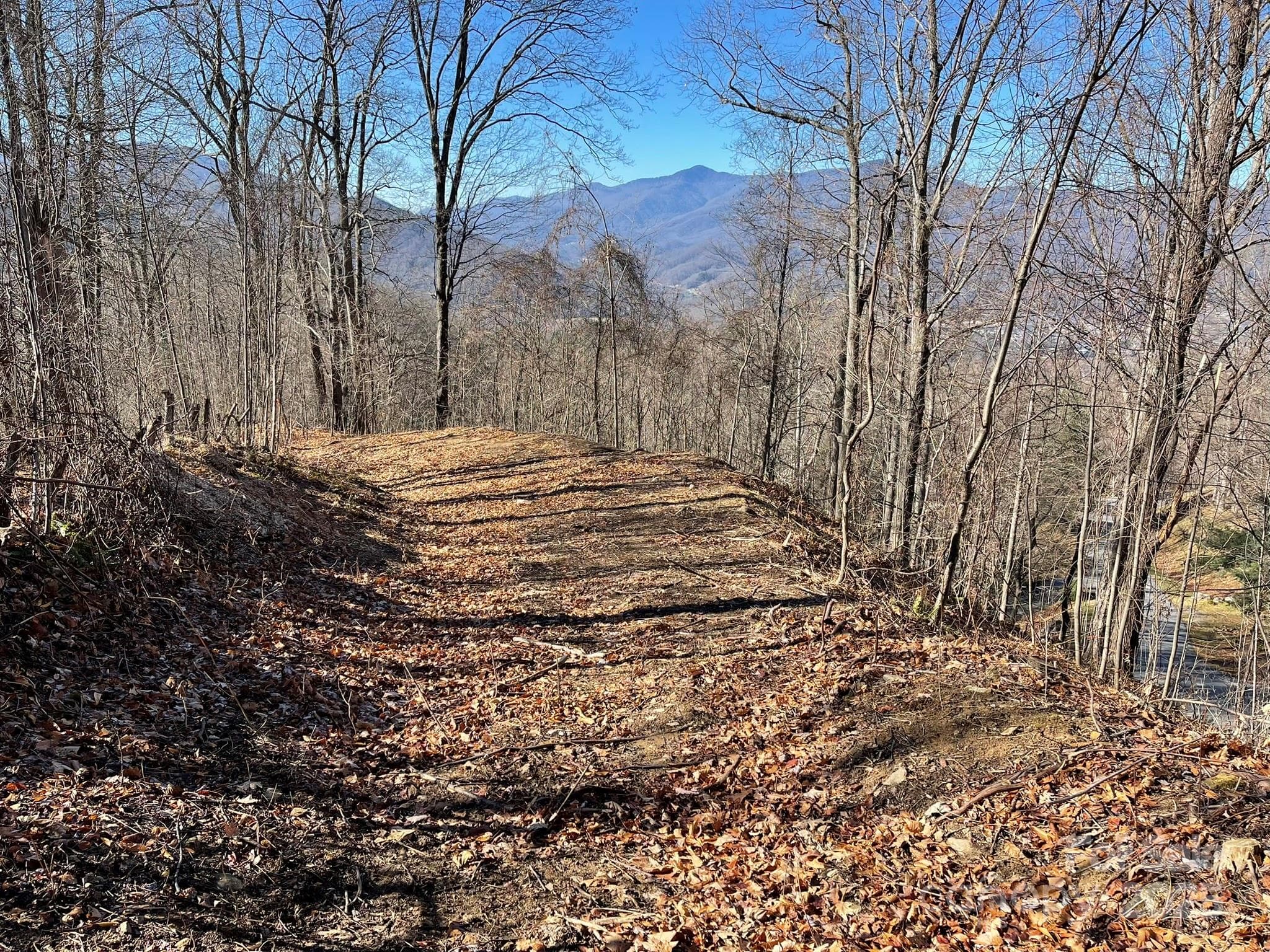 Lot at Waynesville, photo 4 of 10