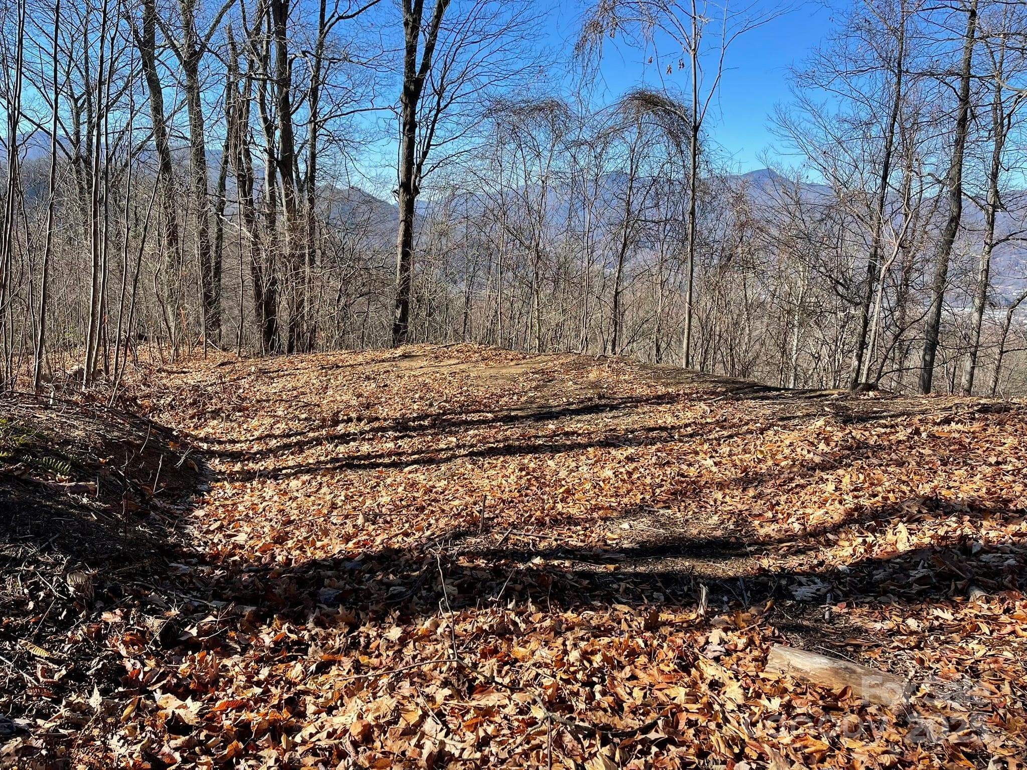 Lot at Waynesville, photo 5 of 10