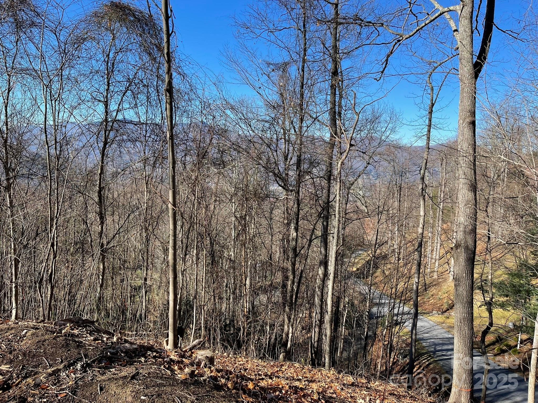 Lot at Waynesville, photo 6 of 10