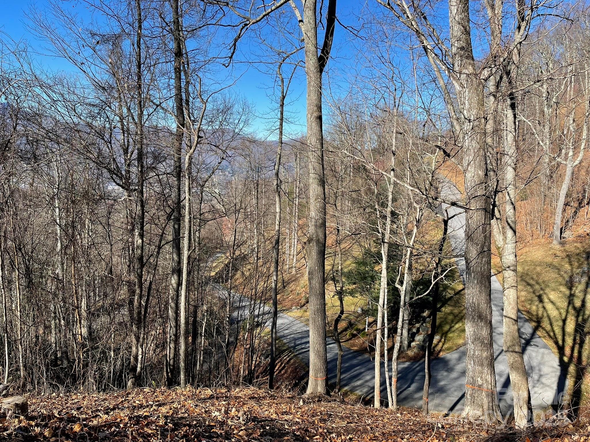 Lot at Waynesville, photo 7 of 10