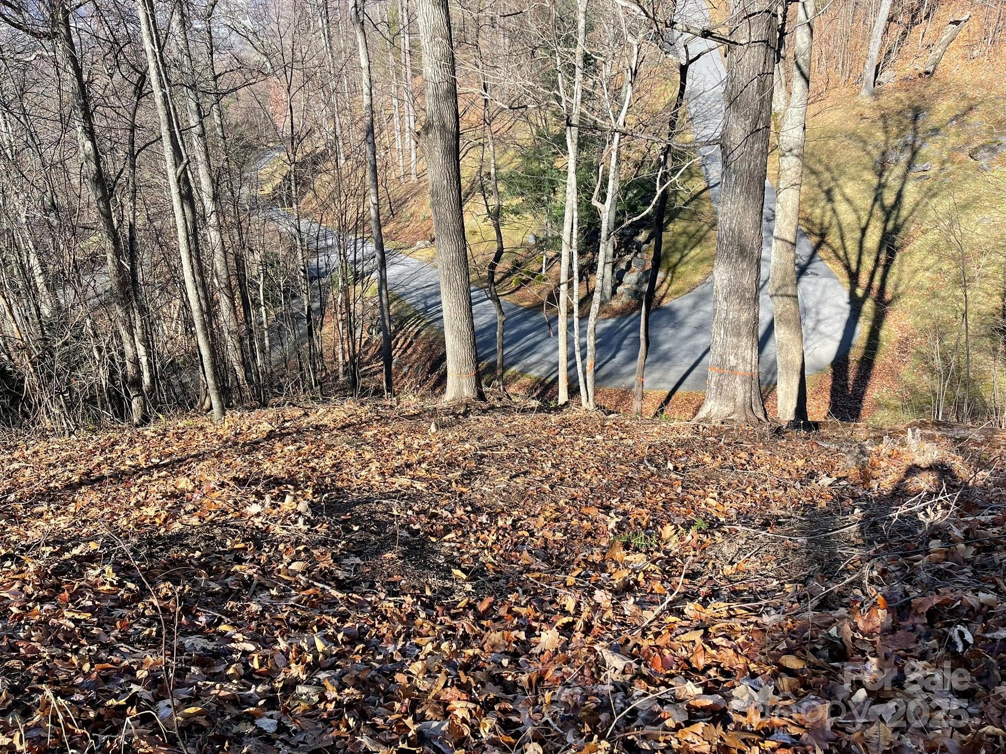 Lot at Waynesville, photo 8 of 10