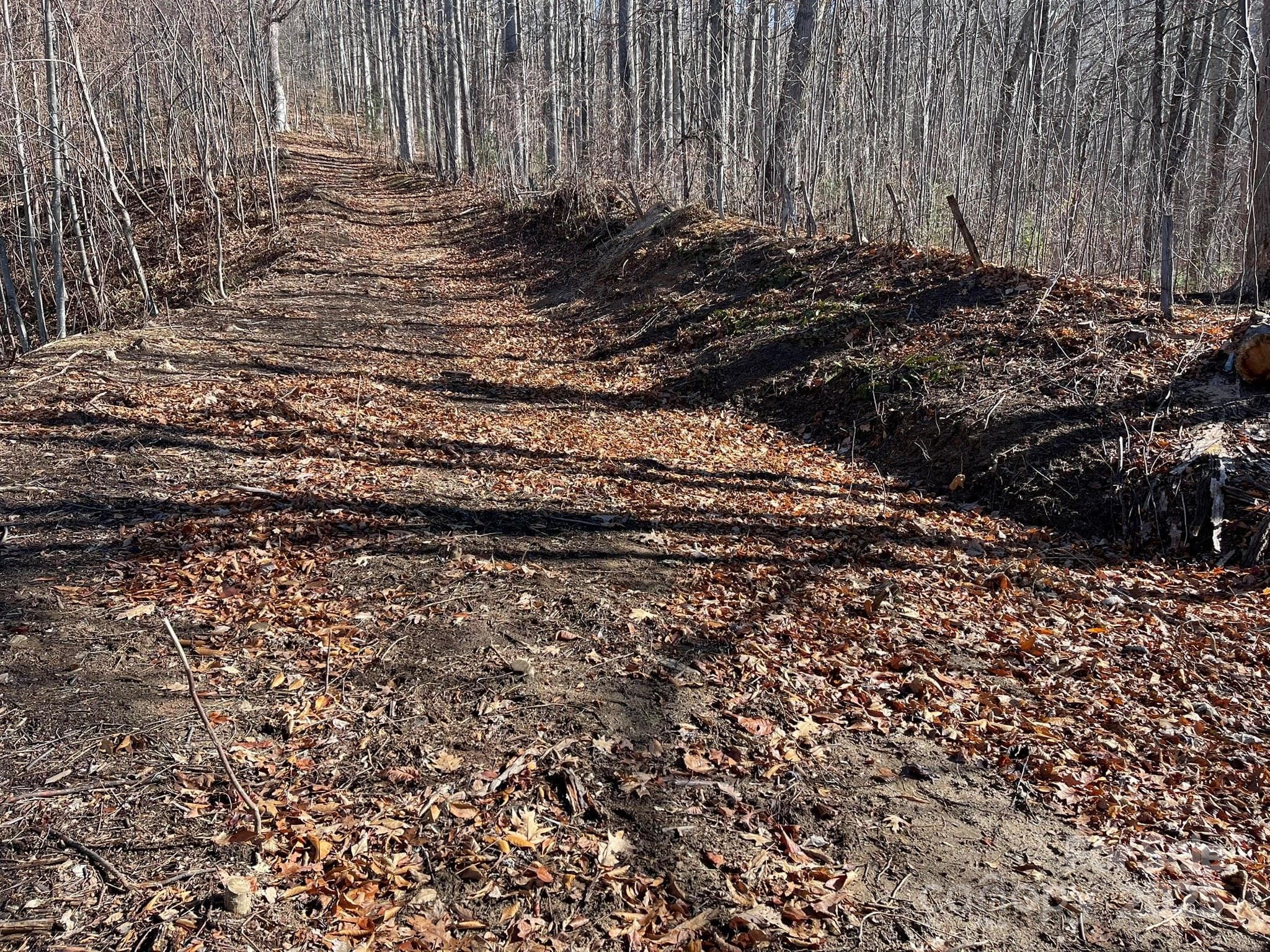 Lot at Waynesville, photo 9 of 10