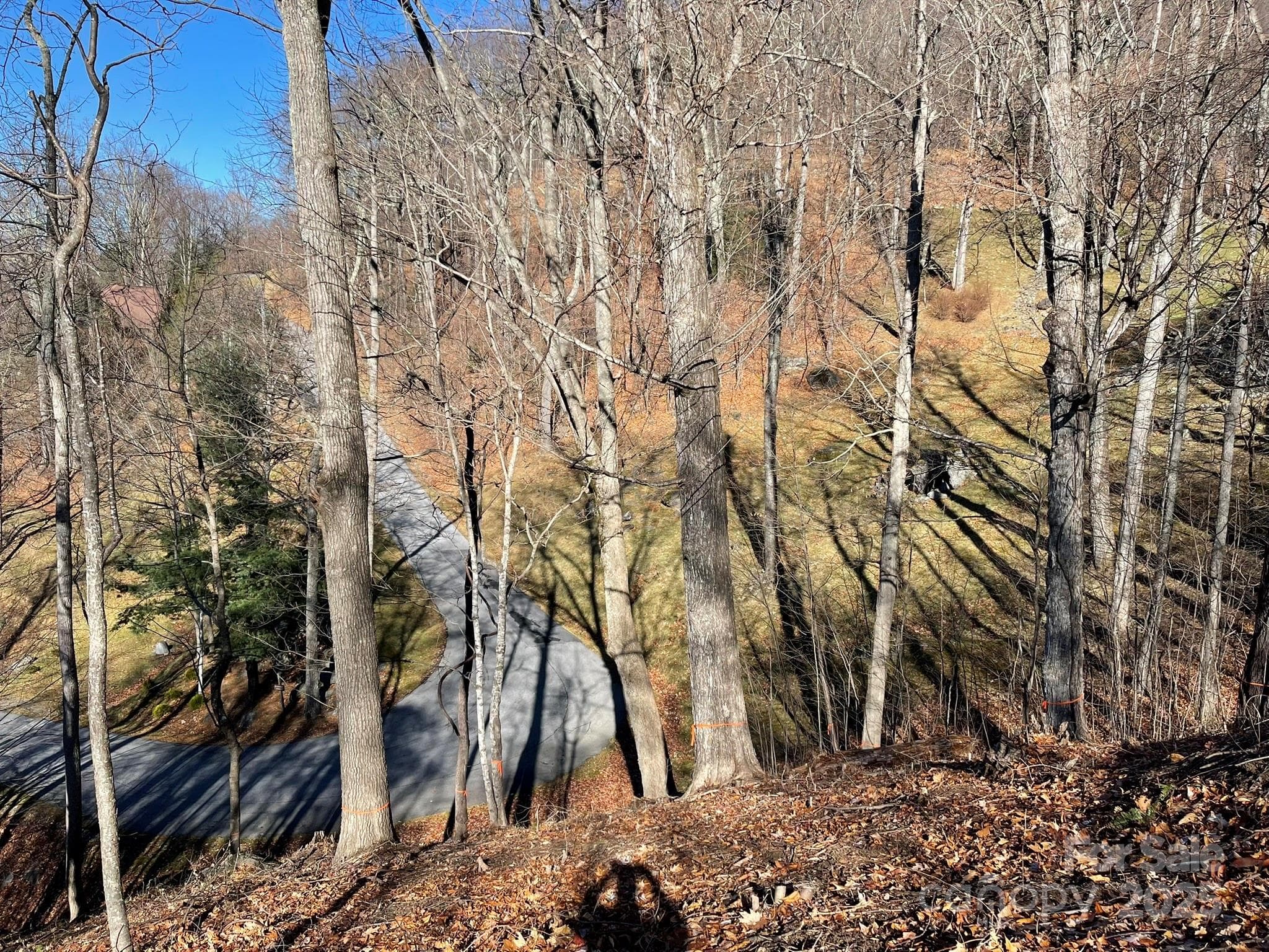 Lot at Waynesville, photo 10 of 10