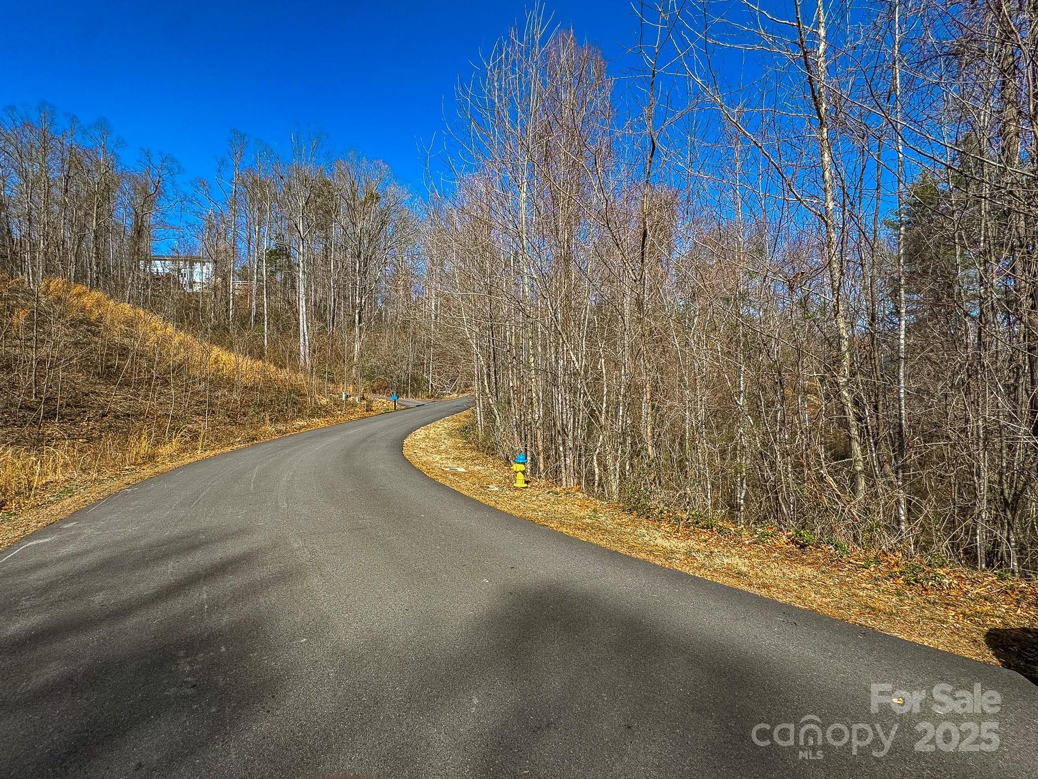 Lot at Asheville, photo 4 of 4