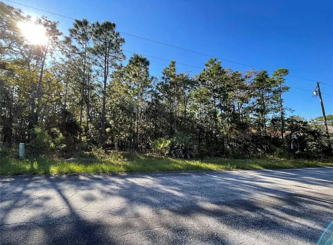Land at 16 MAYTEN CT N, HOMOSASSA, photo 3 of 15