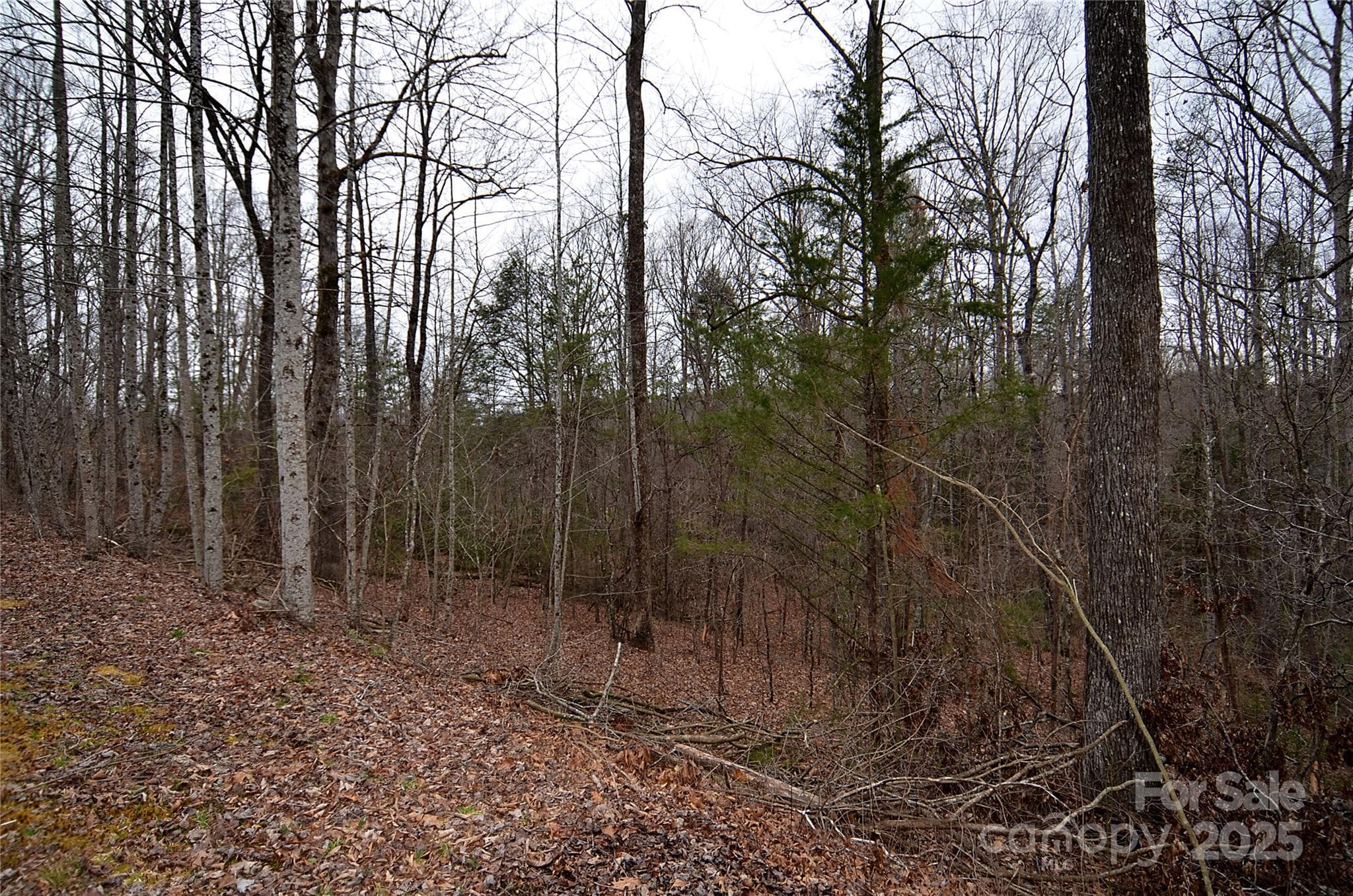 Lot at V/L #32 Bent Creek Drive, Nebo, photo 5 of 7