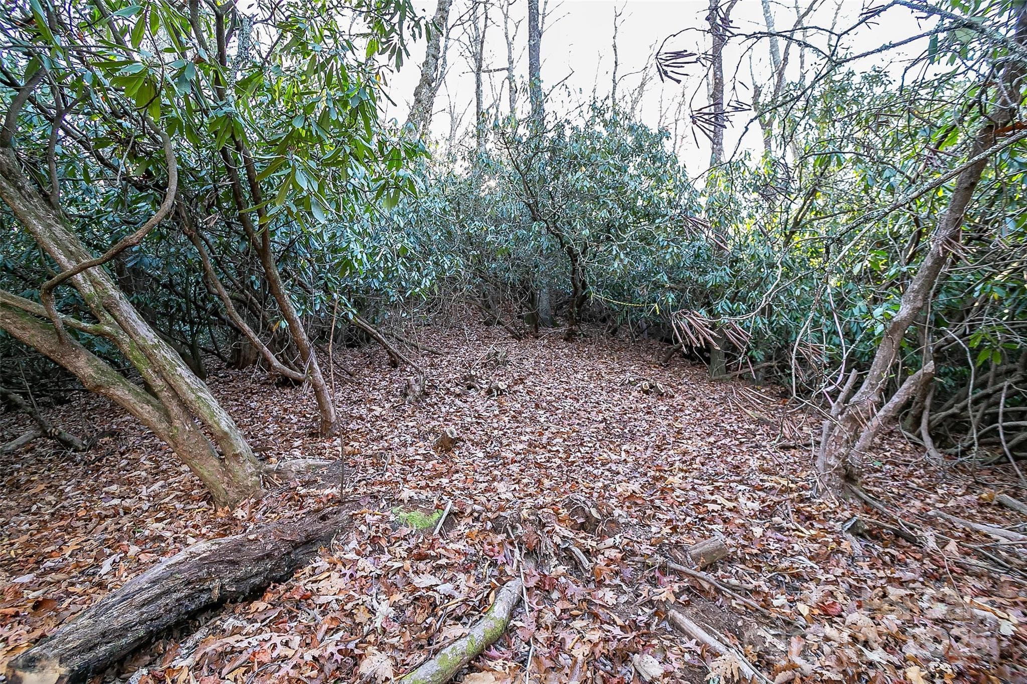 Lot at TBD Dundee Lane, Pisgah Forest, photo 2 of 10