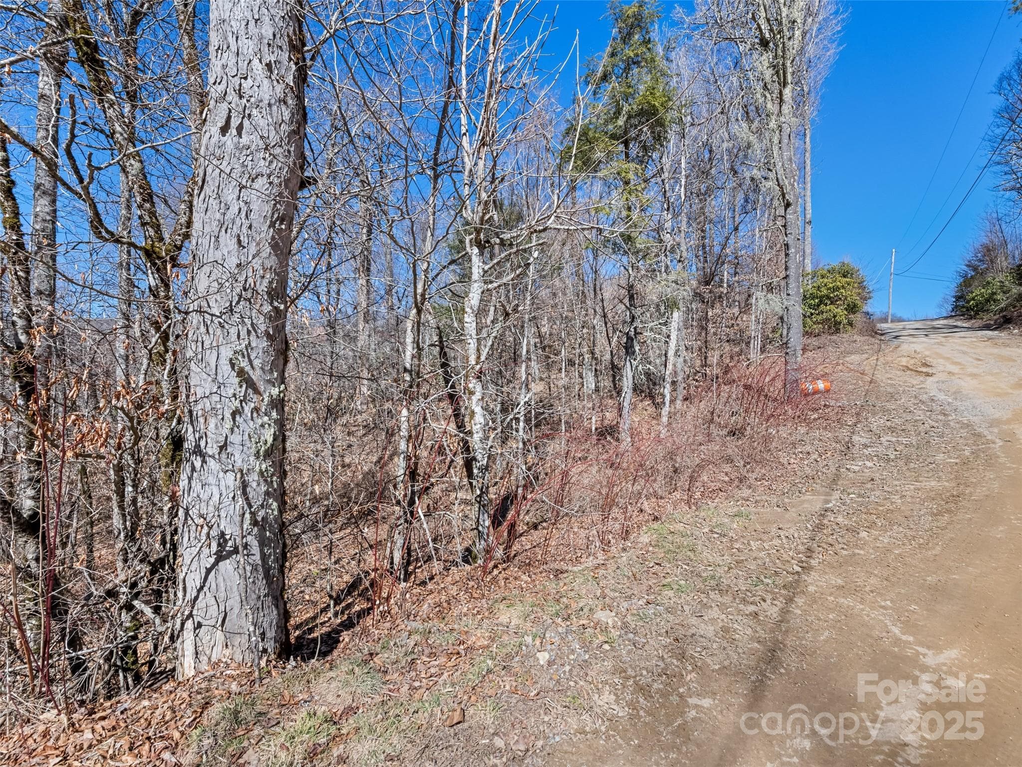Lot at Maggie Valley, photo 9 of 11