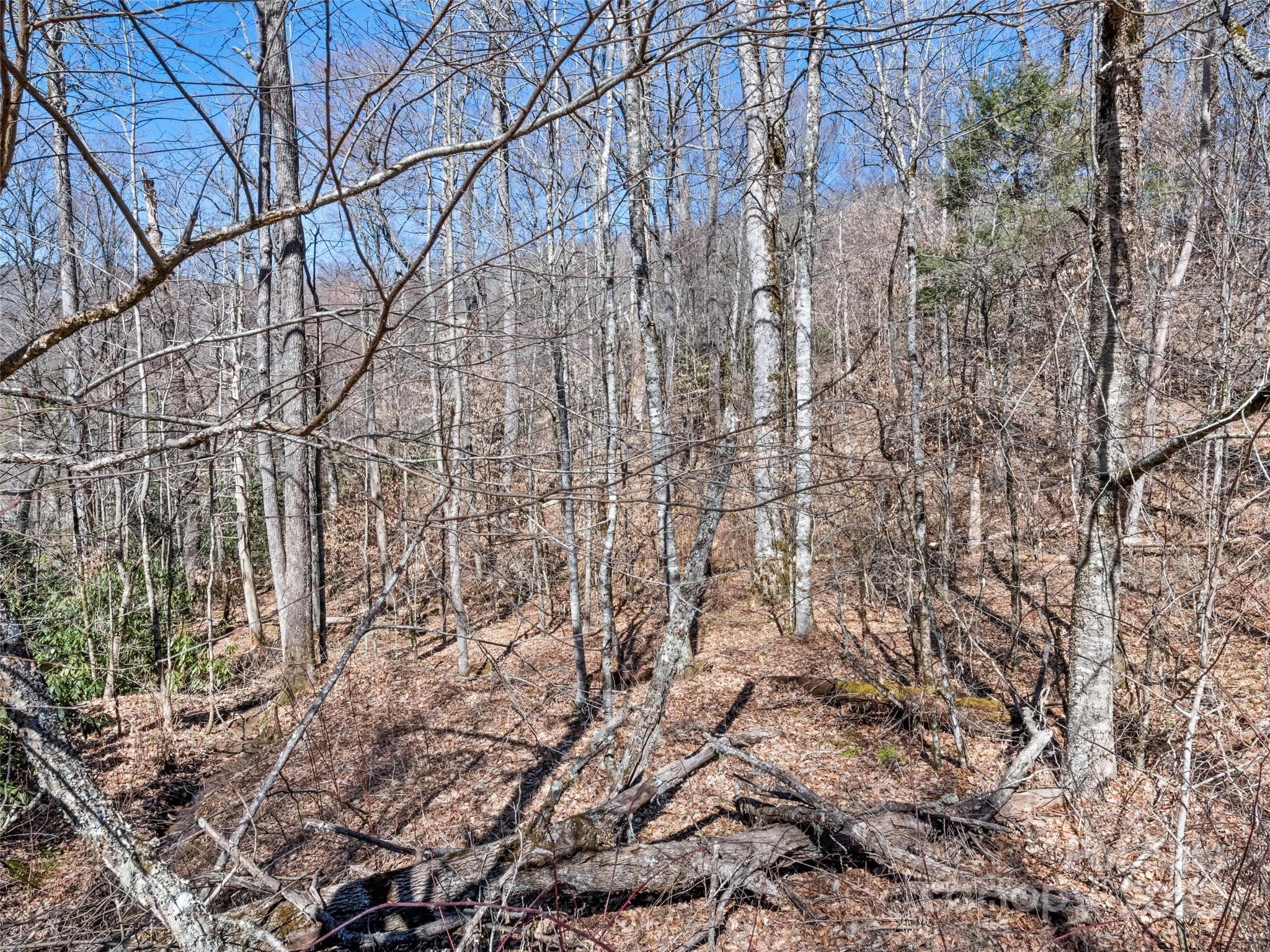 Lot at Maggie Valley, photo 10 of 11