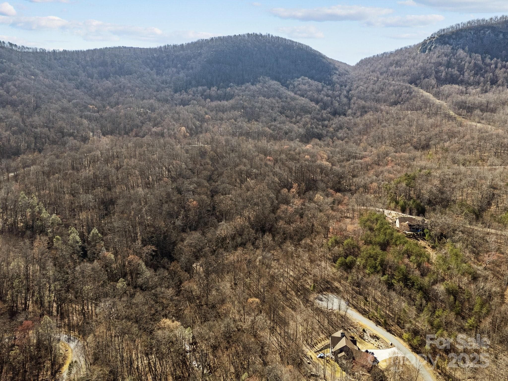 Acreage at Mill Spring, photo 4 of 24