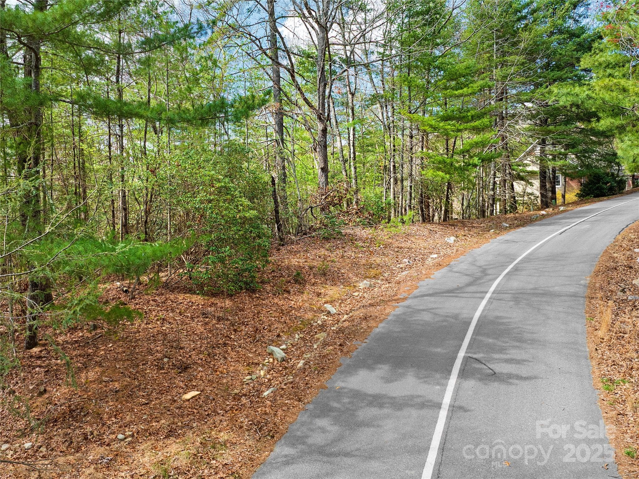 Lot at Lot 71 South Ridge Drive, Hendersonville, photo 4 of 10