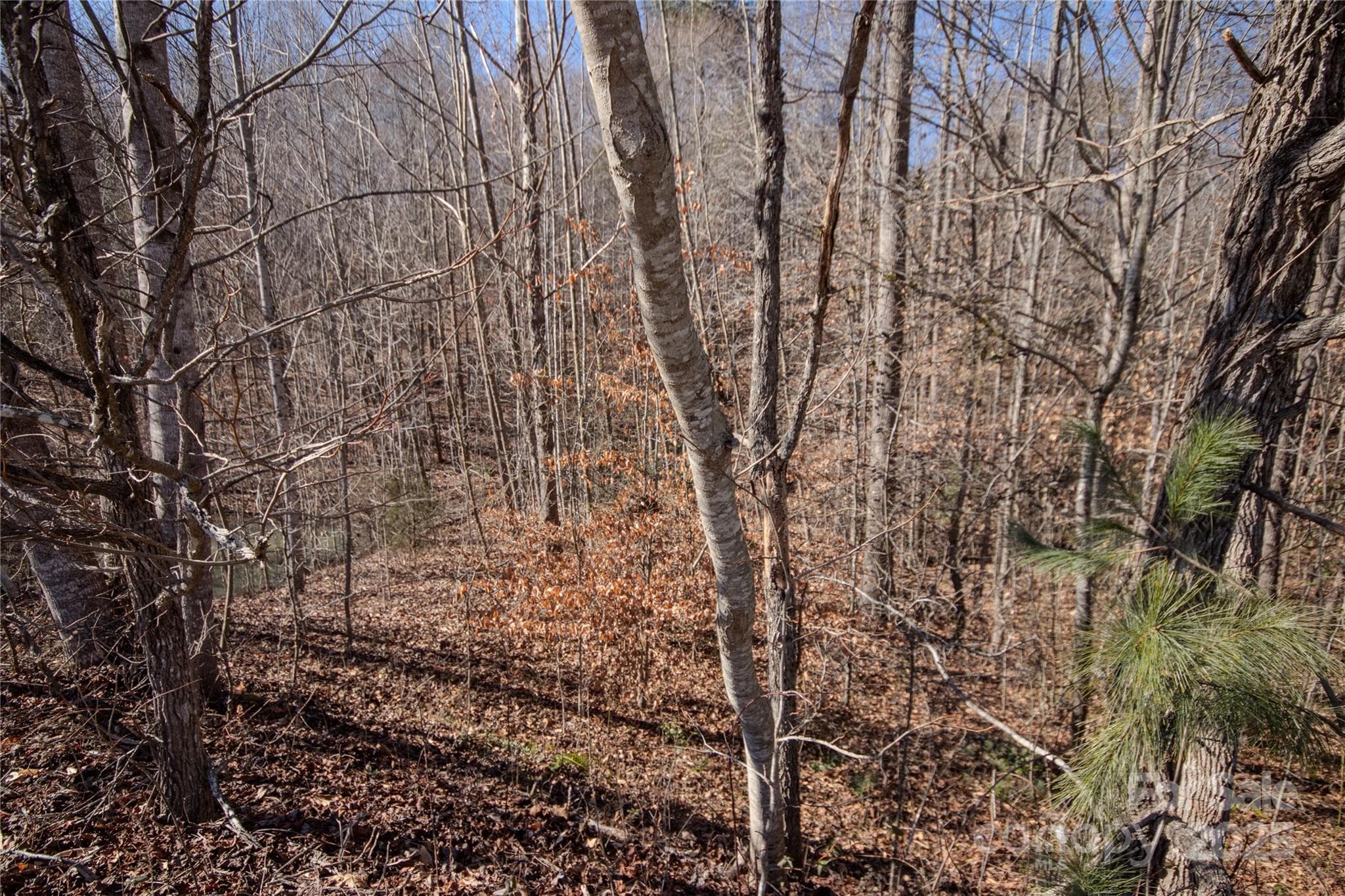 Lot at Lenoir, photo 3 of 4
