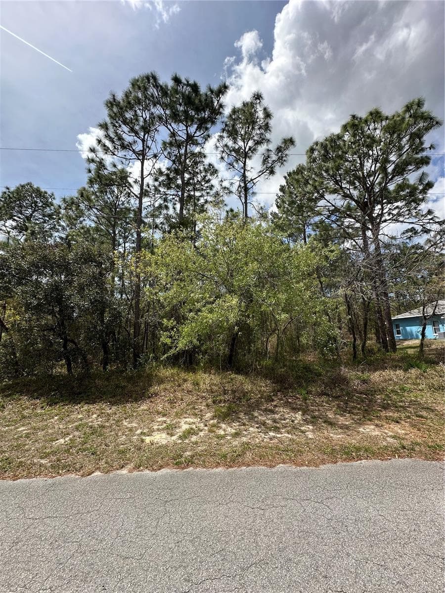 2 FRINGETREE CT