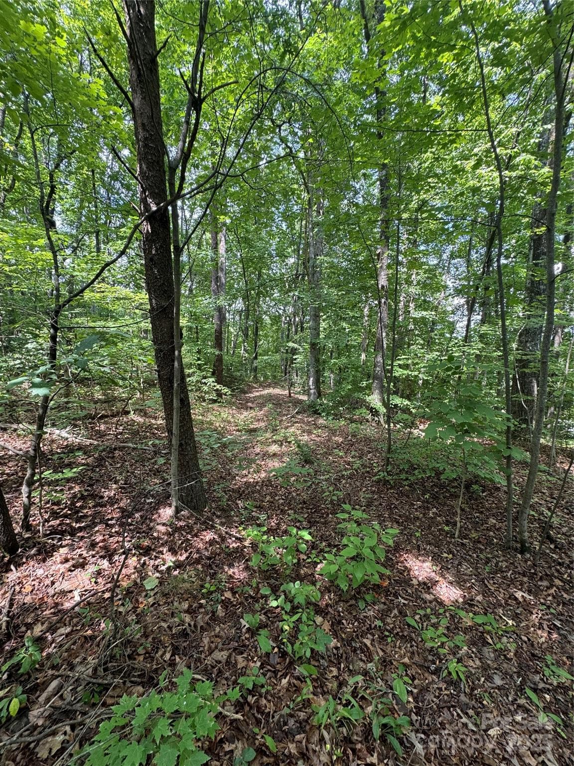 Acreage at 00 Pinnacle Parkway, Union Mills, photo 4 of 8