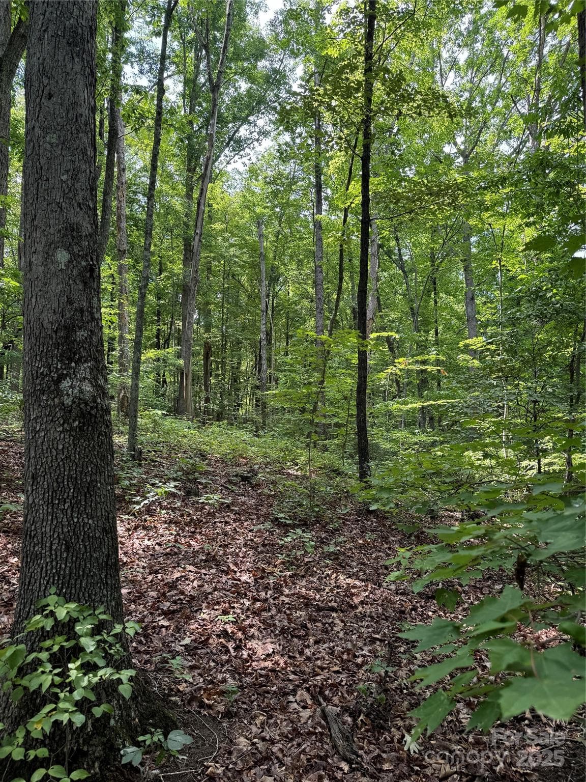Acreage at 00 Pinnacle Parkway, Union Mills, photo 6 of 8