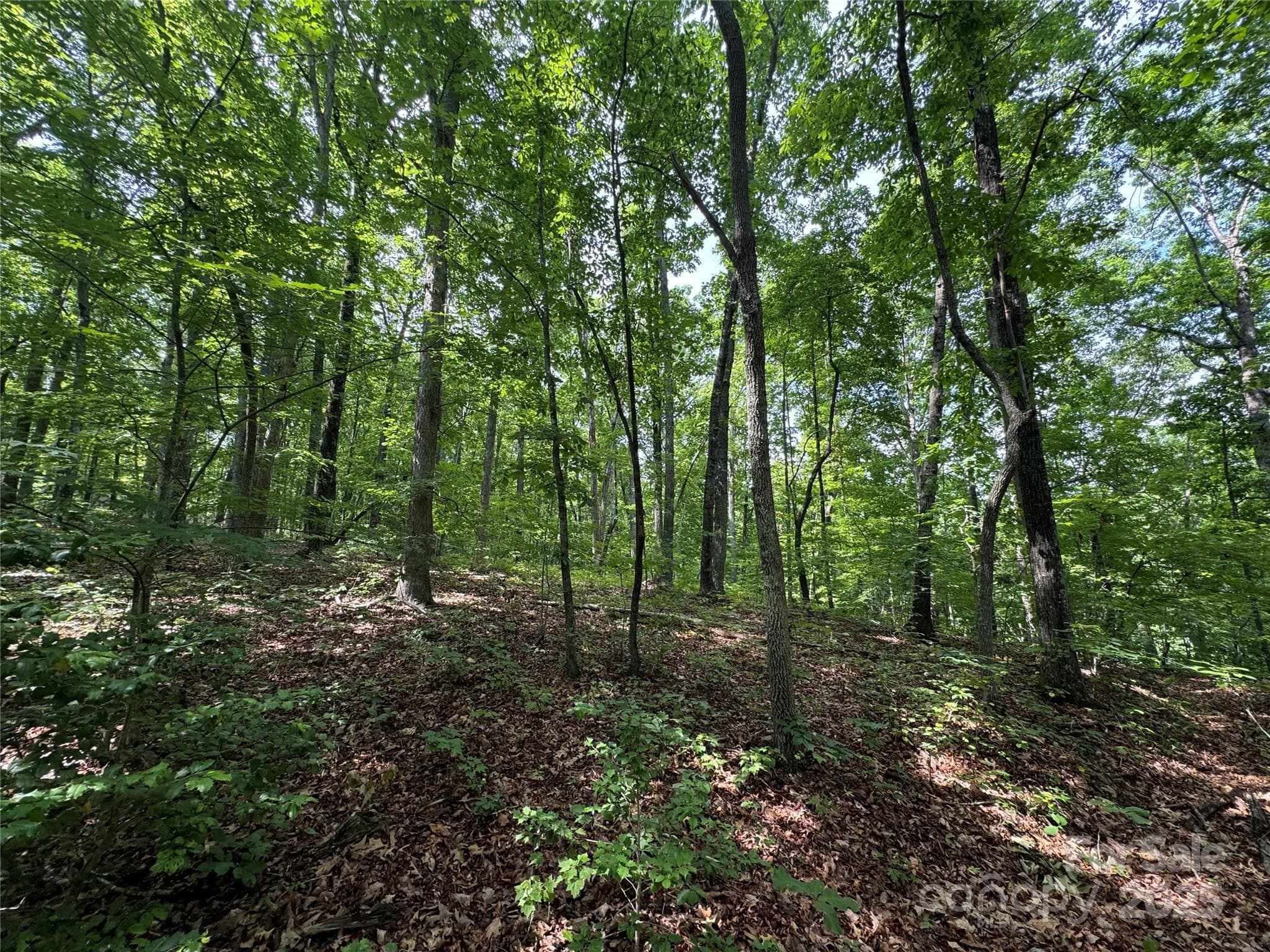 Acreage at 00 Pinnacle Parkway, Union Mills, photo 7 of 8