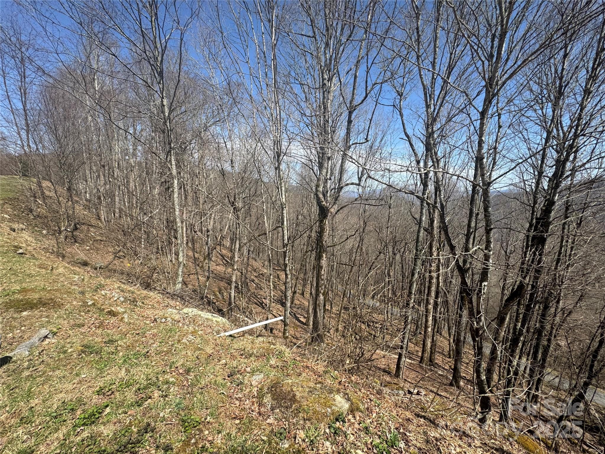 Great Views from Lot - Mars Hill