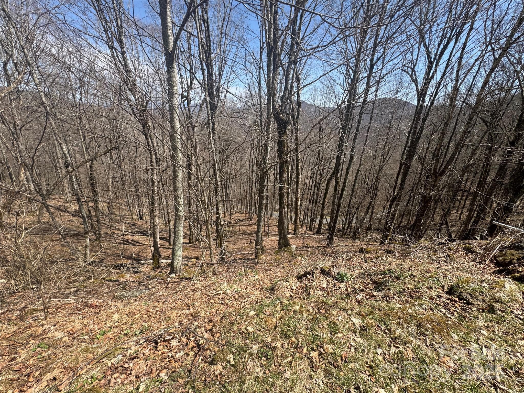 Great Views from Lot - Mars Hill