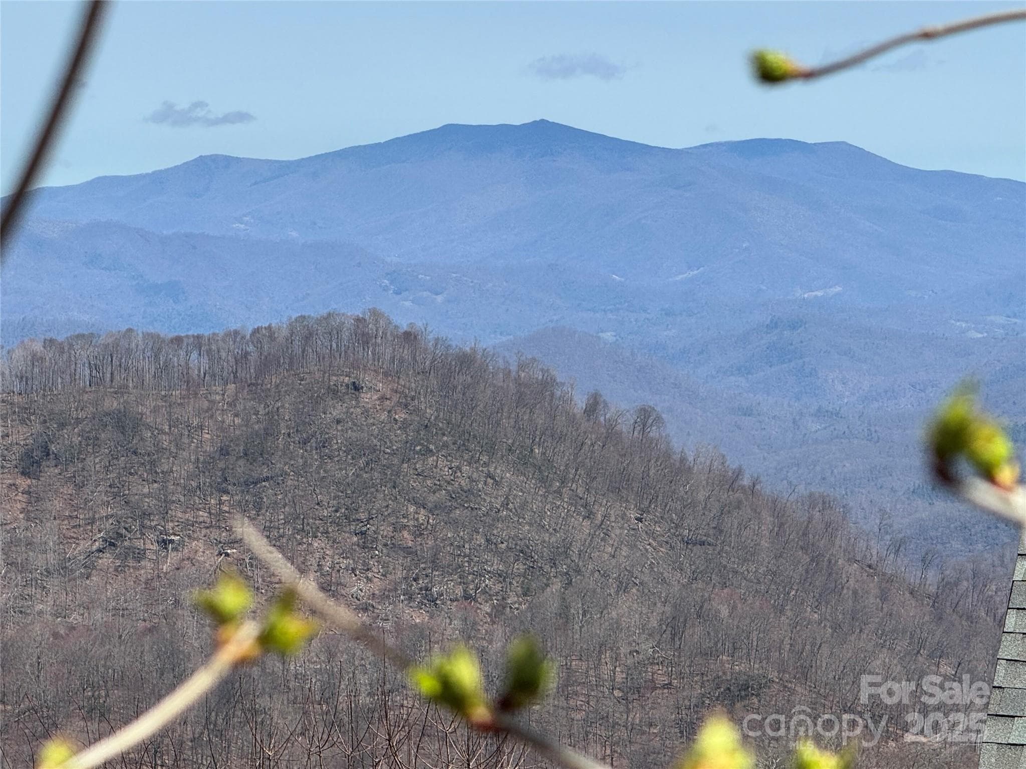 Potential View - Mars Hill