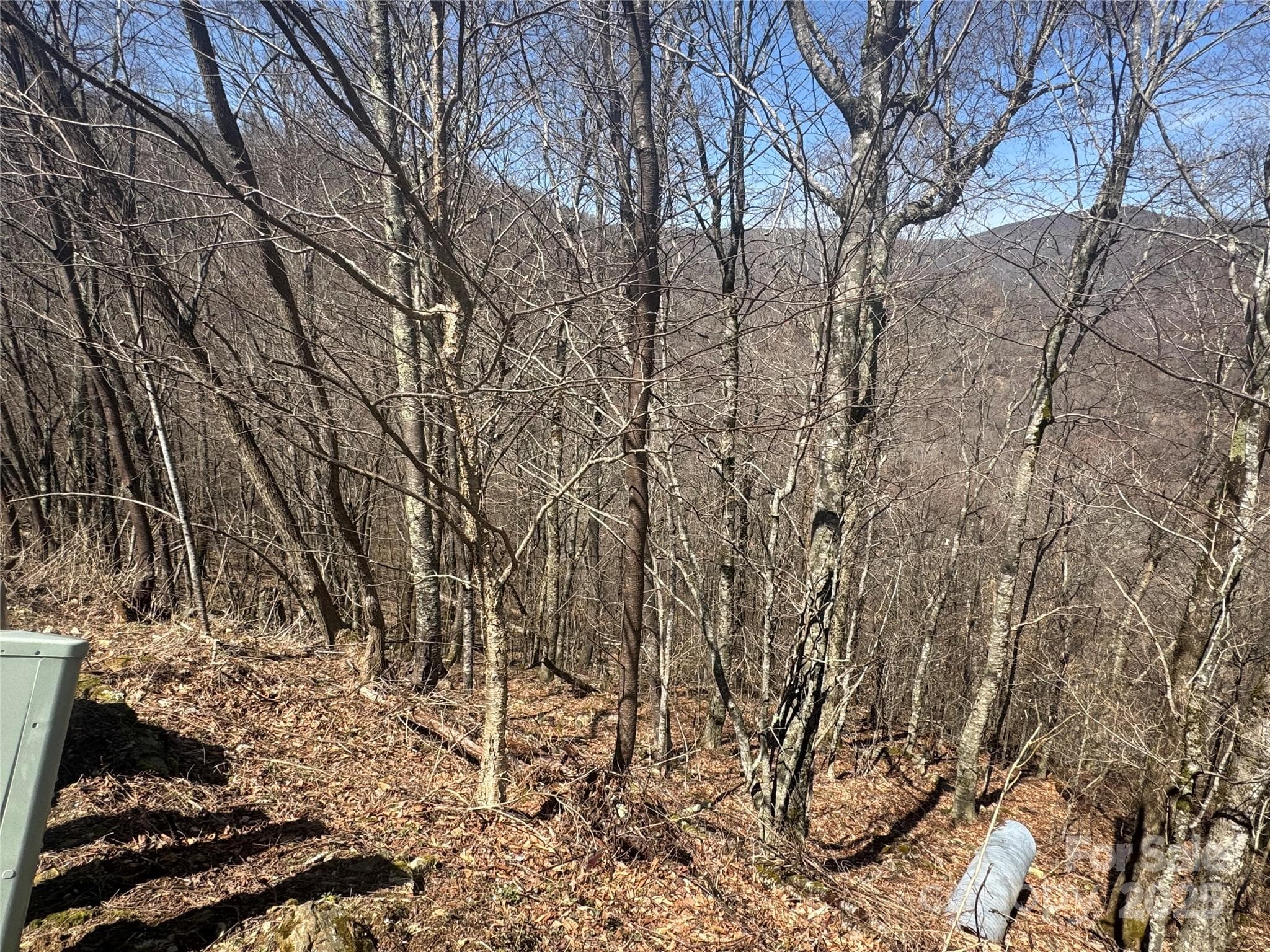 Big Bald View Potential - 53 & 55 Running Cedar Drive, Mars Hill