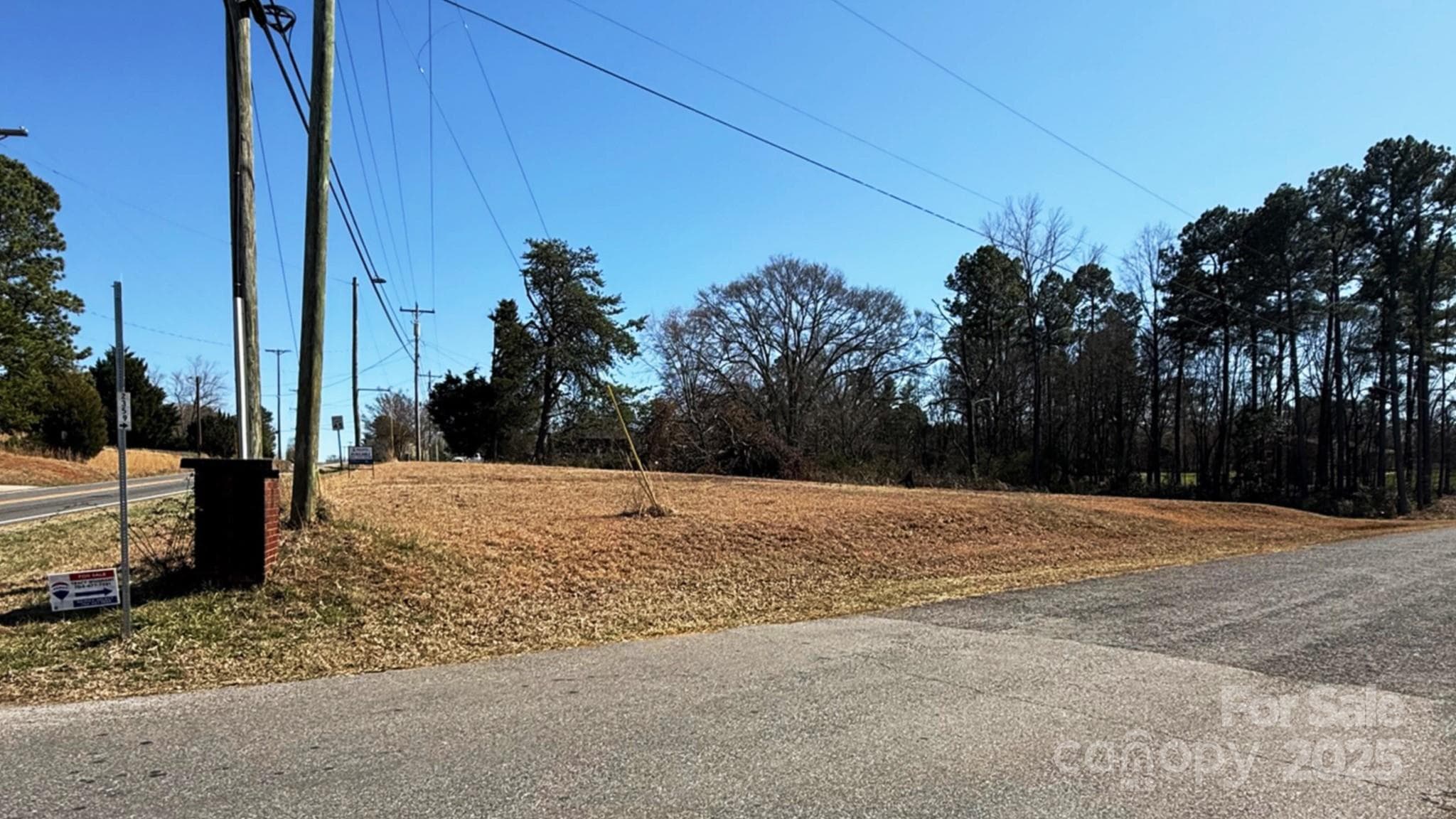 View from the front corner of the parcel - Shelby