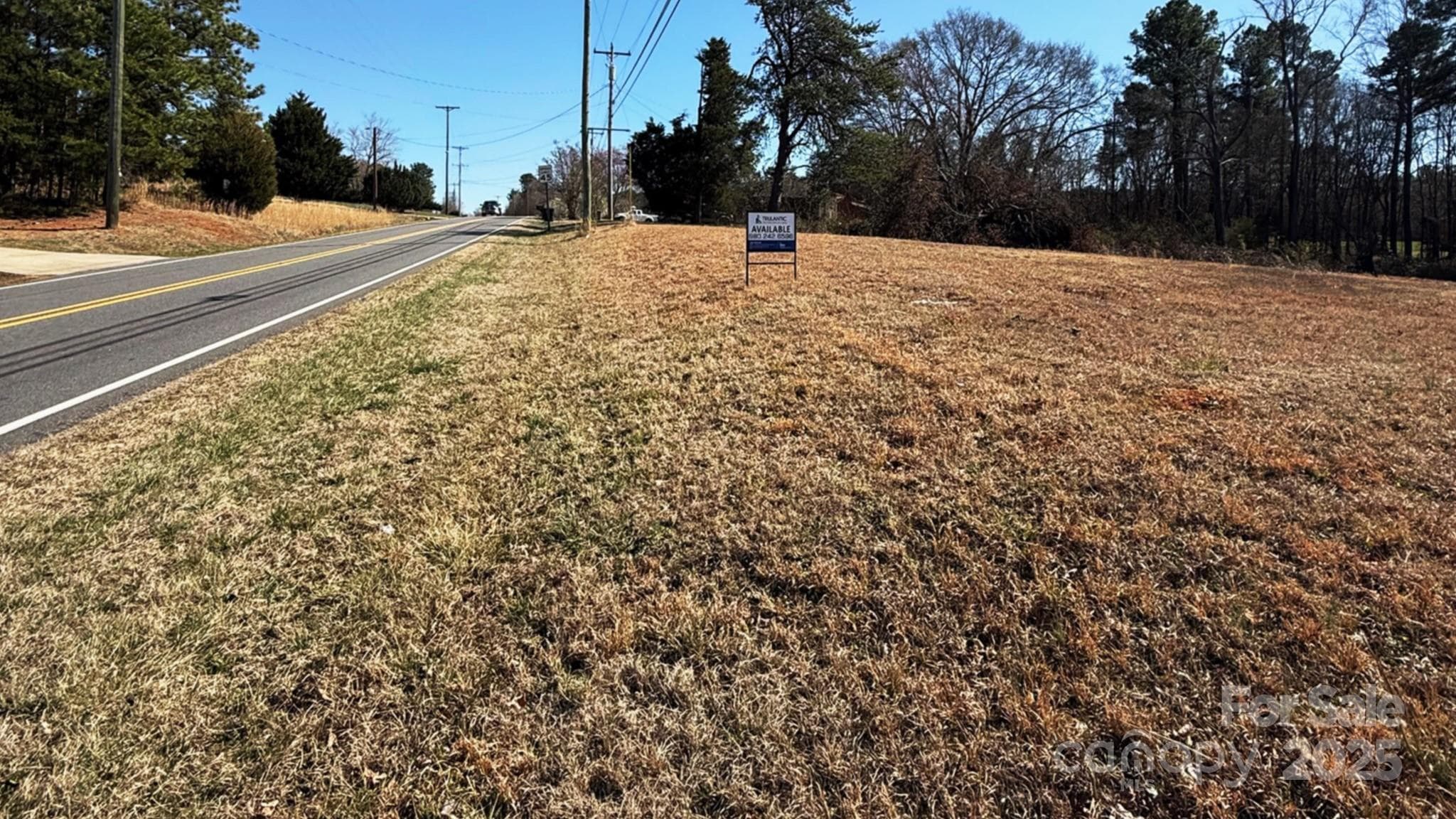 View from the front corner by the stop sign - Shelby