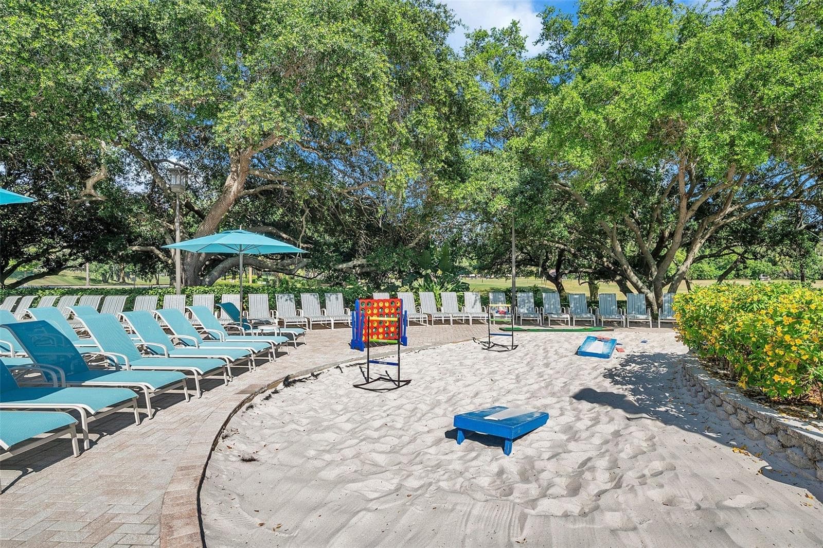 Condominium at 36750 US 19 N #2763, PALM HARBOR, photo 69 of 82