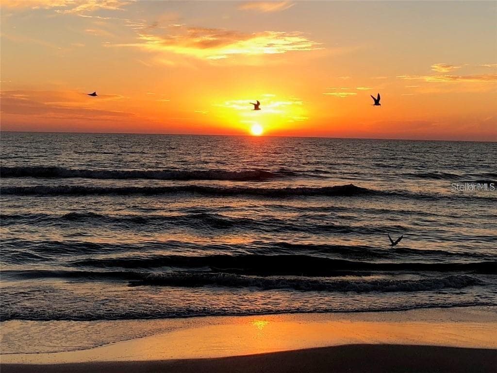Gorgeous sunsets at the beach - 36750 US 19 N #2763, PALM HARBOR
