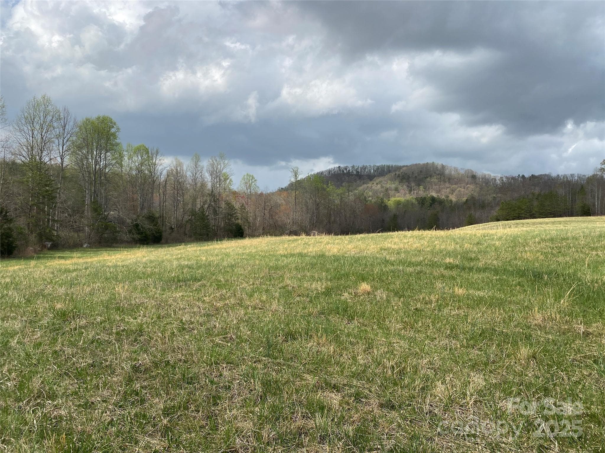 Acreage at 0 Cane Creek Mountain Road, Bostic, photo 2 of 28