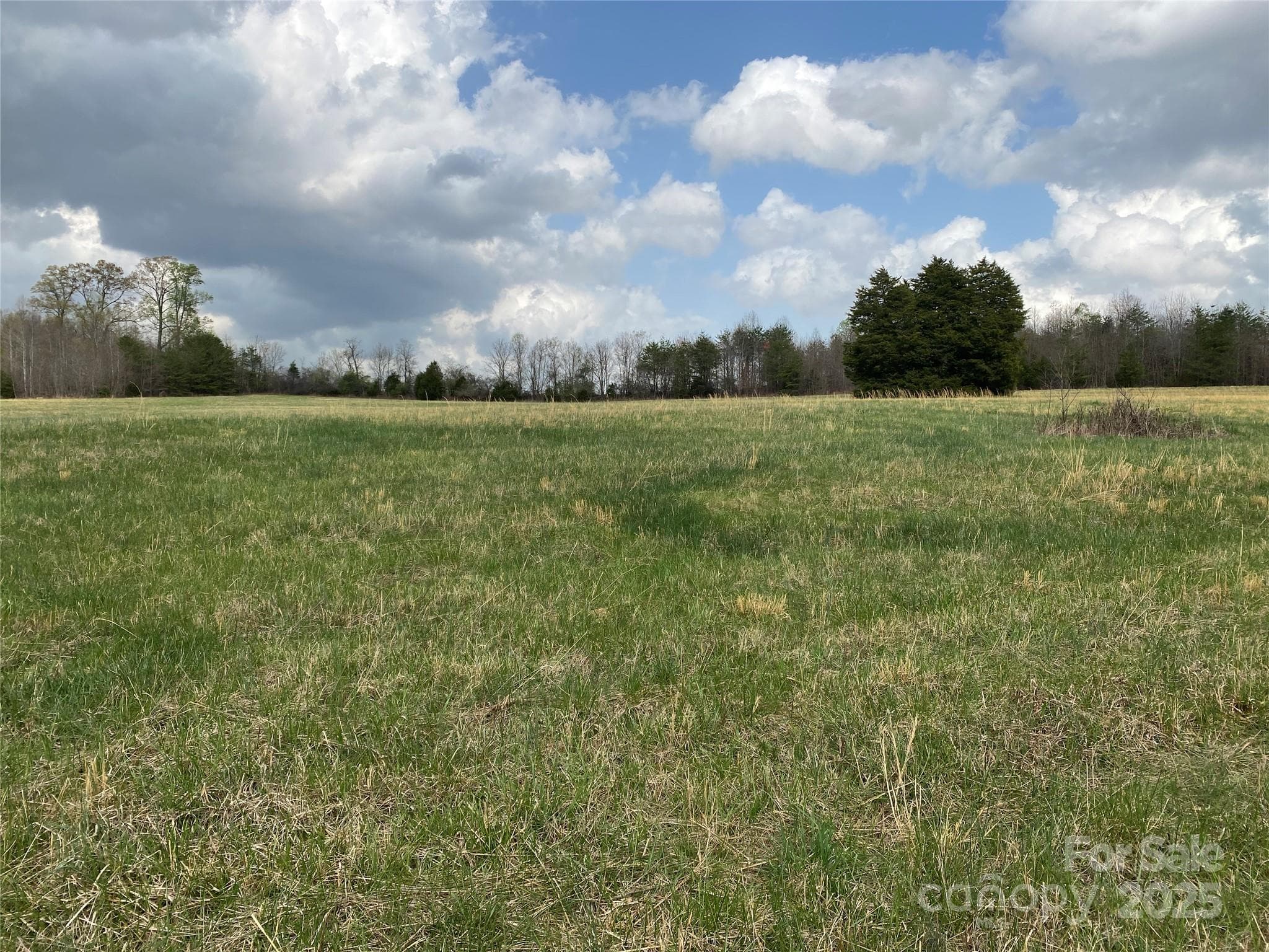 Acreage at 0 Cane Creek Mountain Road, Bostic, photo 5 of 28