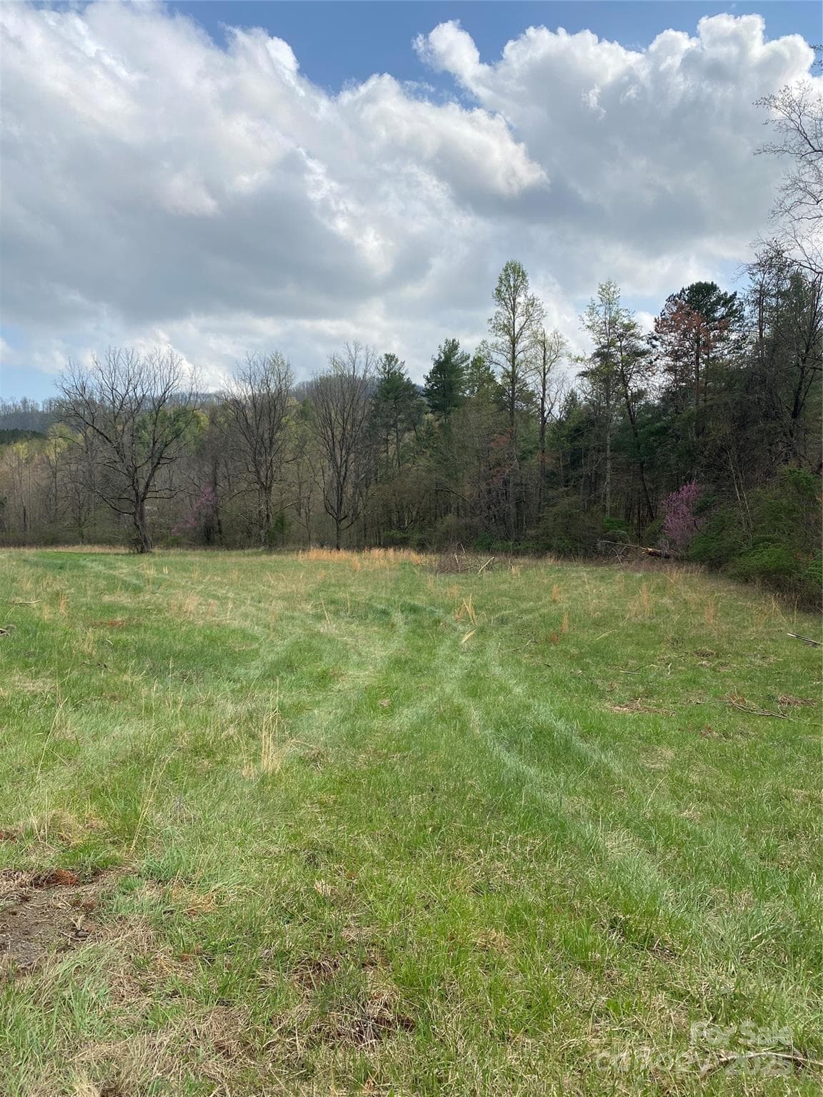 Acreage at 0 Cane Creek Mountain Road, Bostic, photo 19 of 28