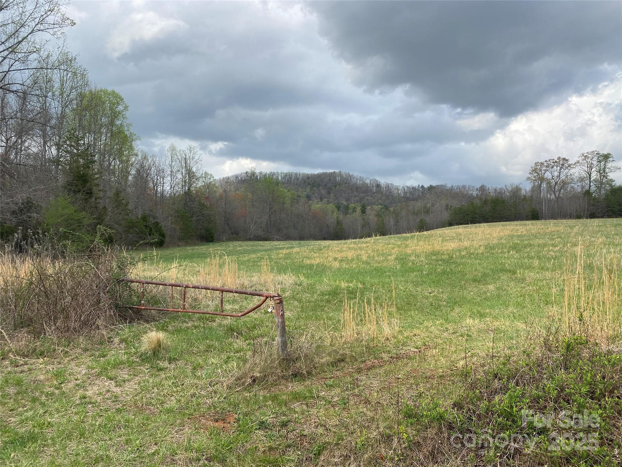 Acreage at 0 Cane Creek Mountain Road, Bostic, photo 3 of 28