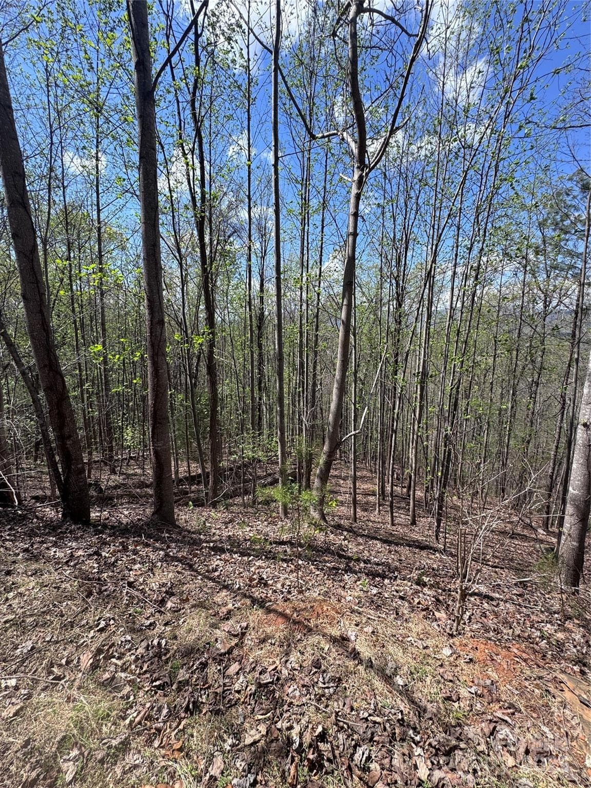 Lot at Lake Lure, photo 9 of 13