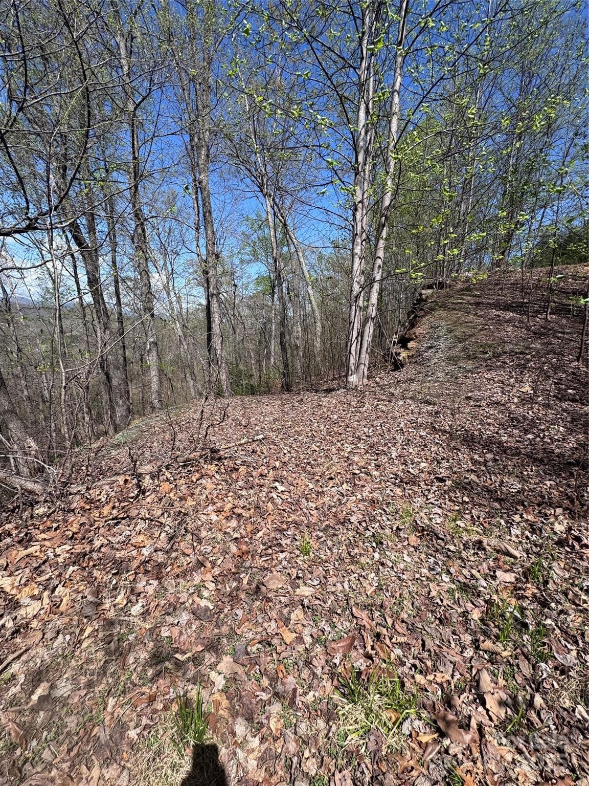 Lot at Lake Lure, photo 10 of 13