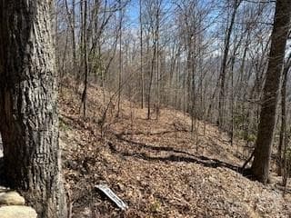 Lot at Waynesville, photo 4 of 7