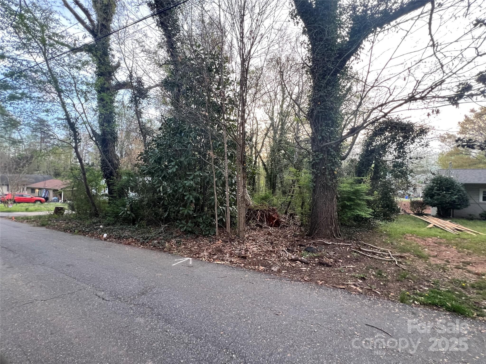Lot at 999 California Street, Spindale, photo 2 of 2