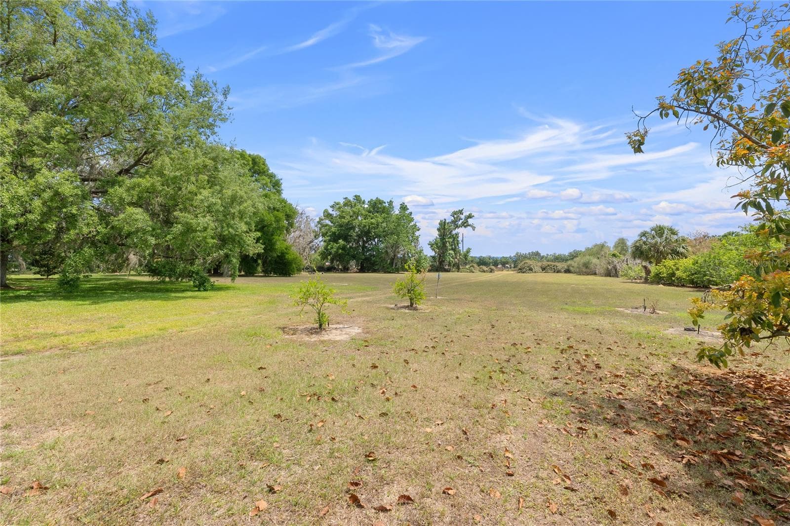 Single Family Residence at 1760 OLD BARTOW EAGLE LAKE RD, BARTOW, photo 84 of 84