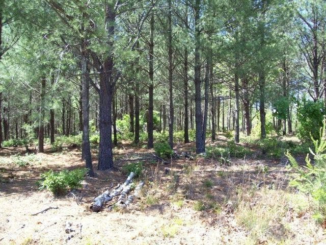 Lot at Nebo, photo 2 of 3
